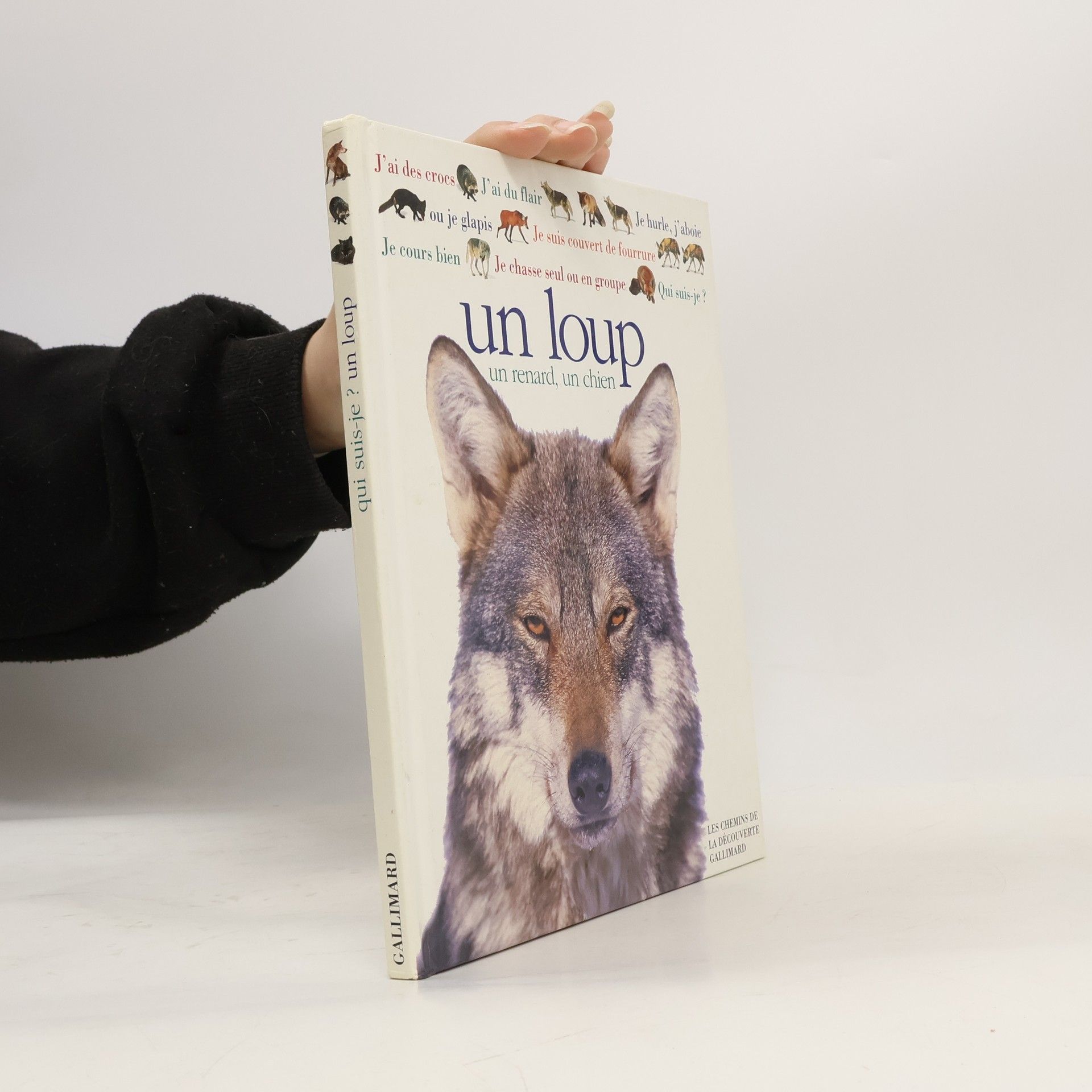 Mary Ling Un loup, un chien, un renard