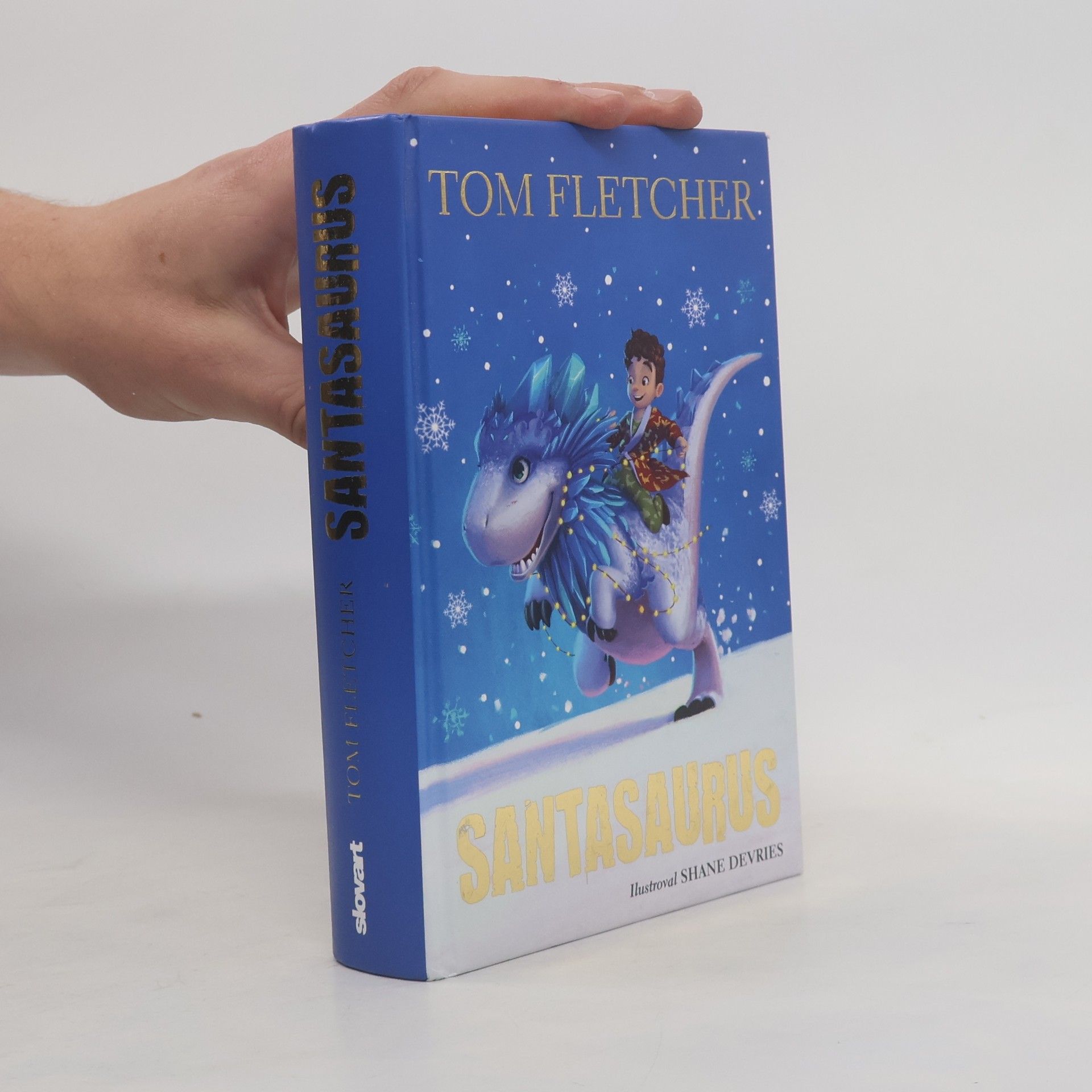 Tom Fletcher Santasaurus