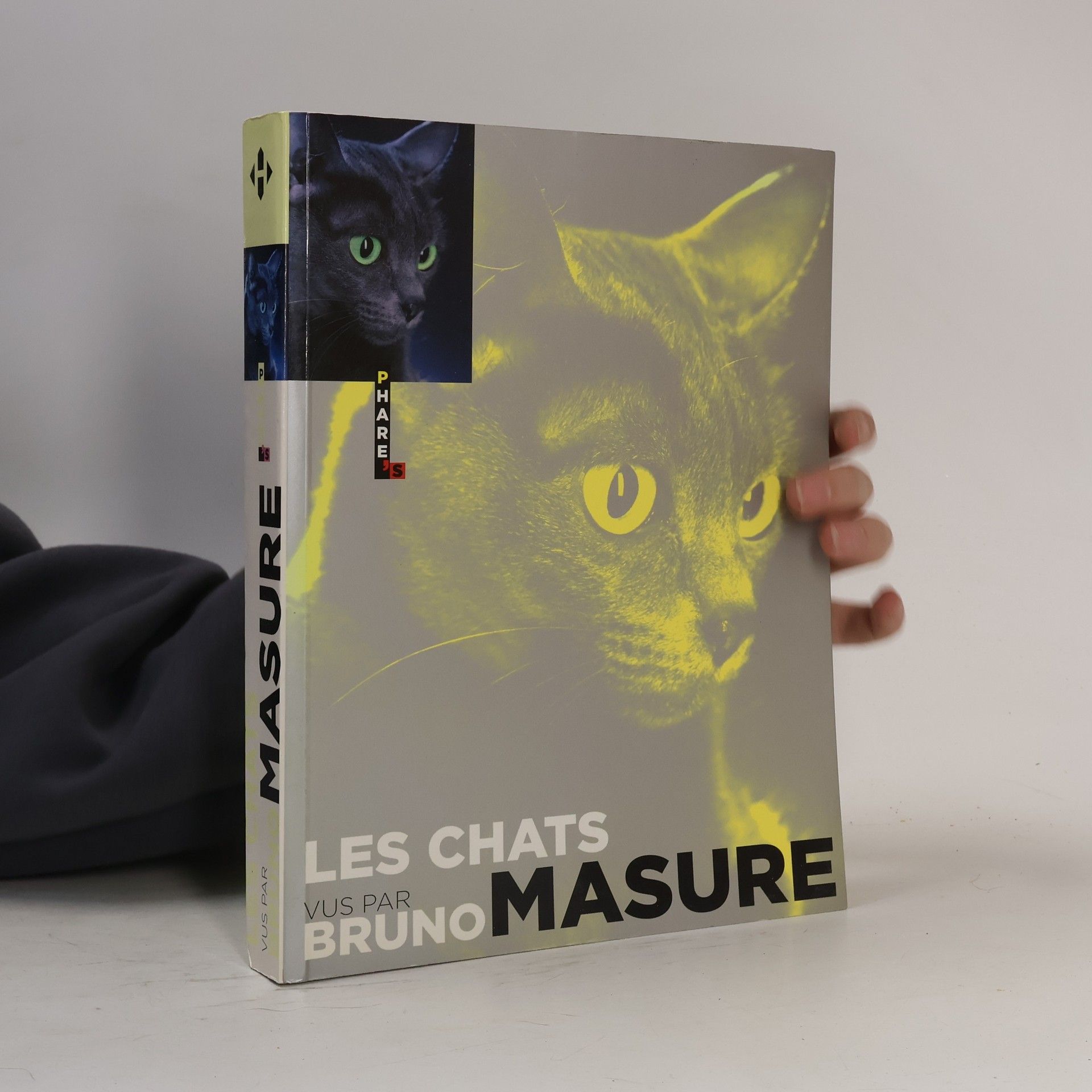 Bruno Masure Les chats vus par Bruno Masure