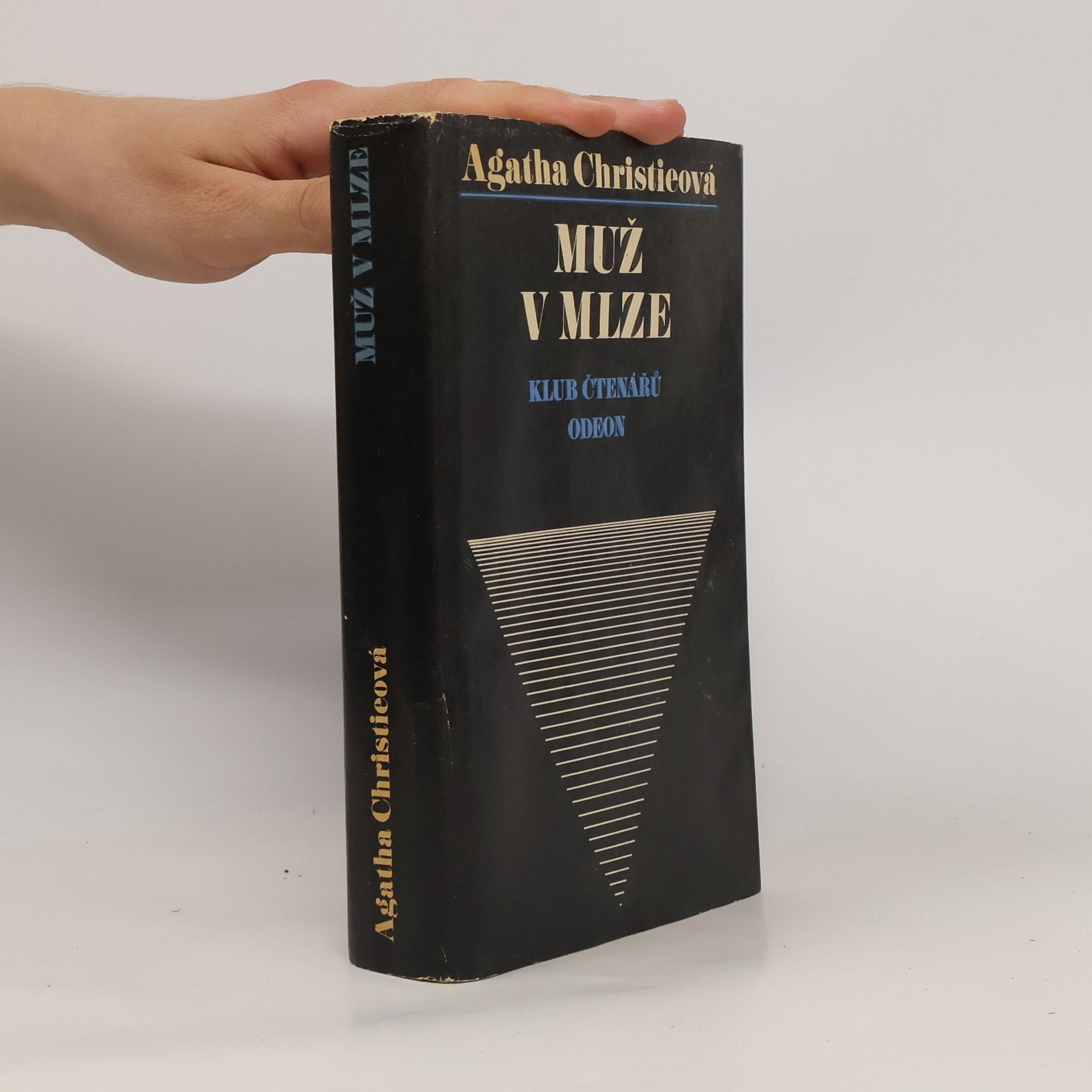 Muž v mlze