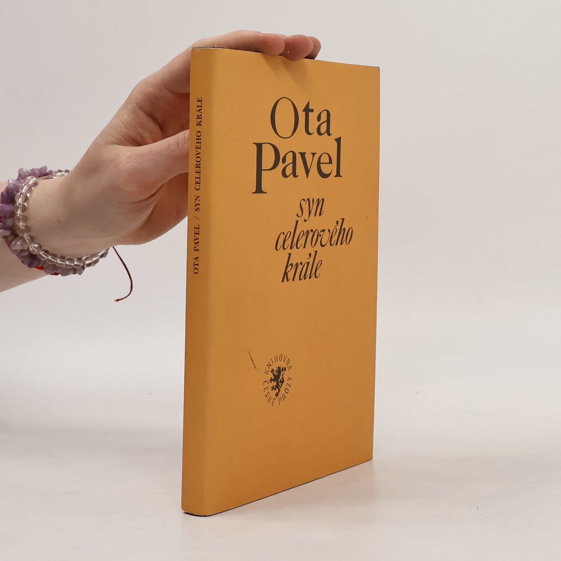 Ota Pavel Syn celerového krále