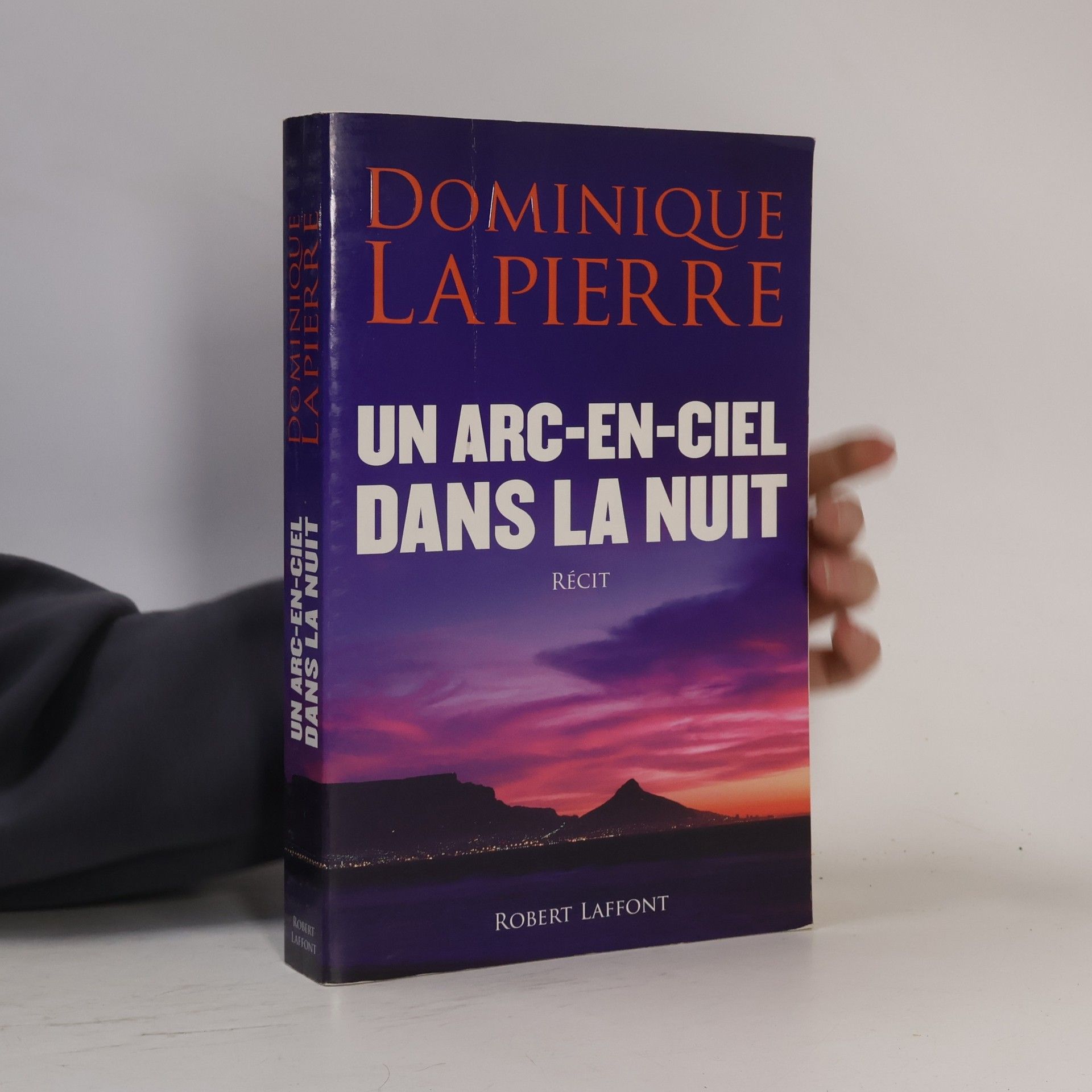 Dominique Lapierre Un arc-en-ciel dans la nuit
