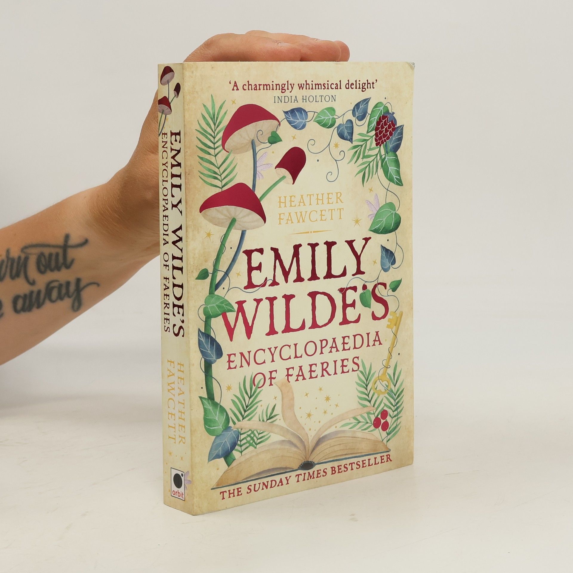 Heather Fawcett Emily Wilde's Encyclopaedia of Faeries
