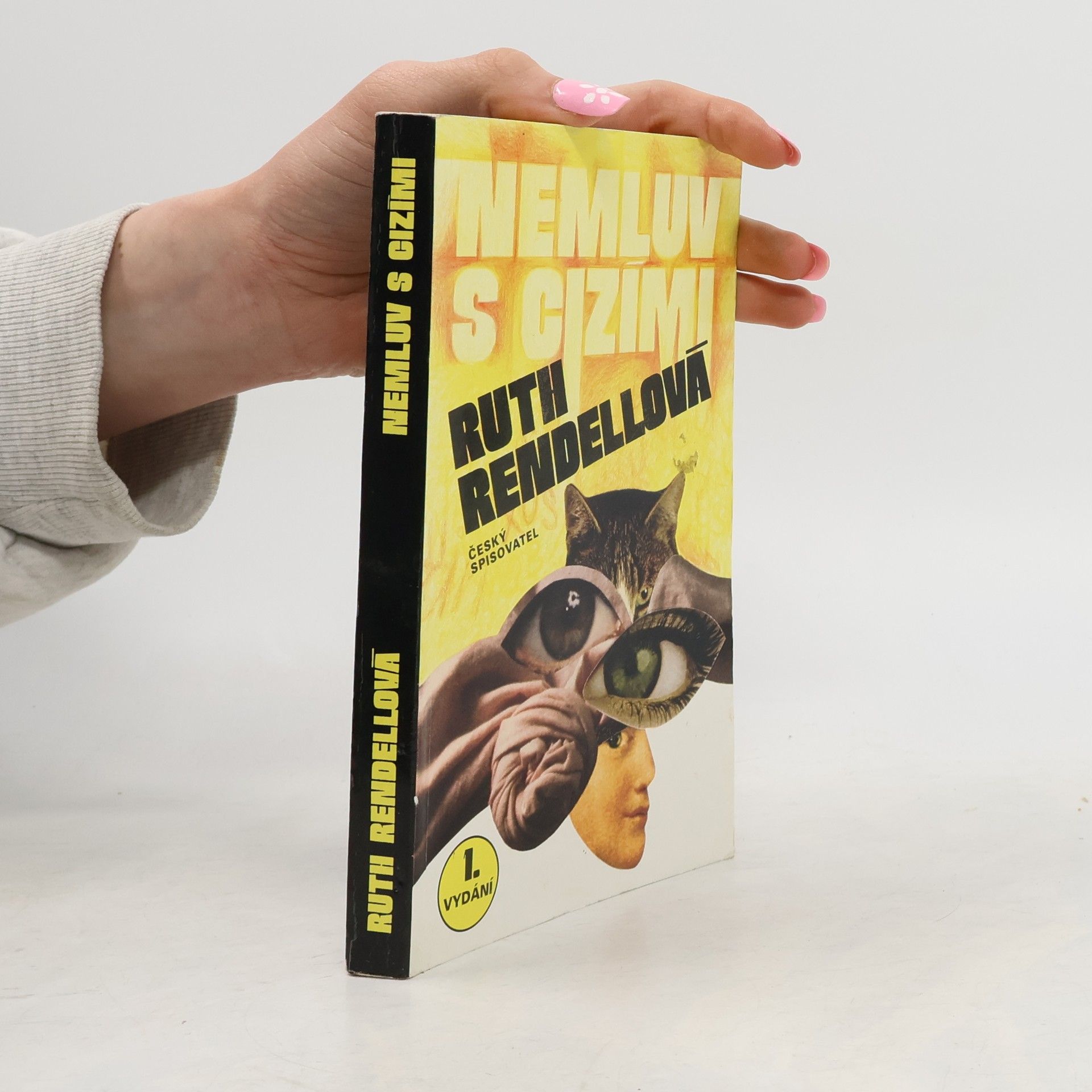 Ruth Rendell Nemluv s cizími