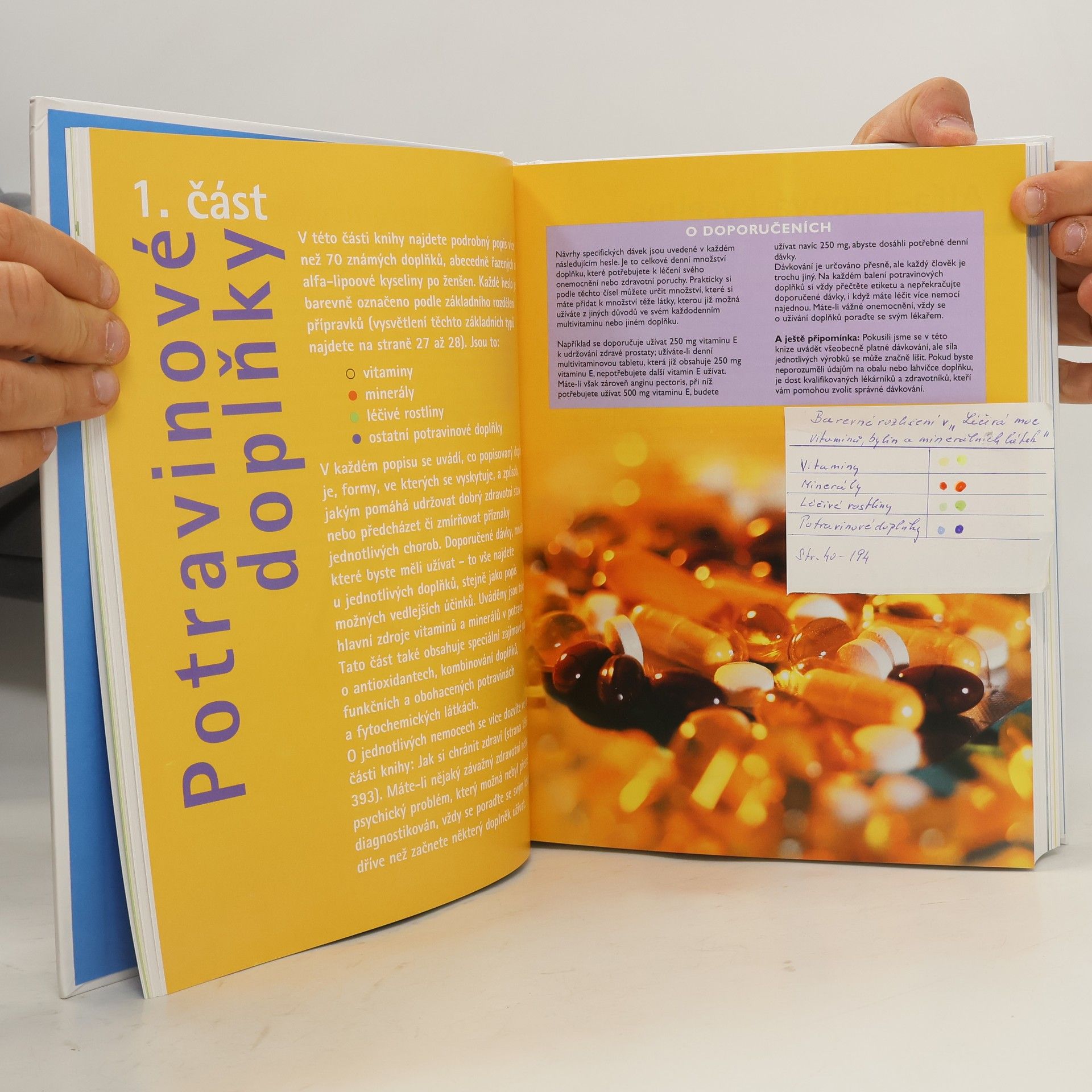 Autorenkollektiv Léčivá moc vitaminů, bylin a minerálních látek