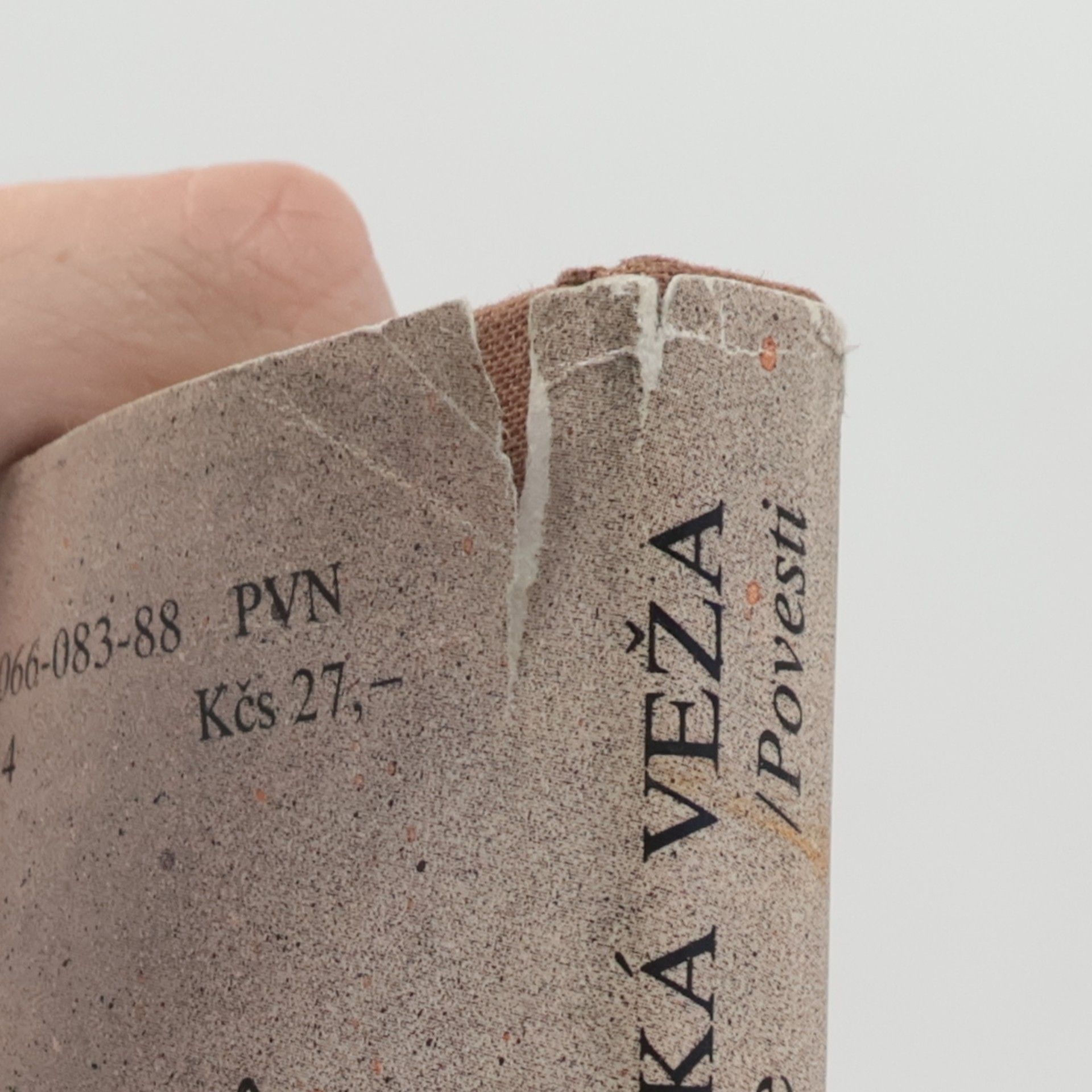 Mária Ďuríčková Panenská veža na Devíne