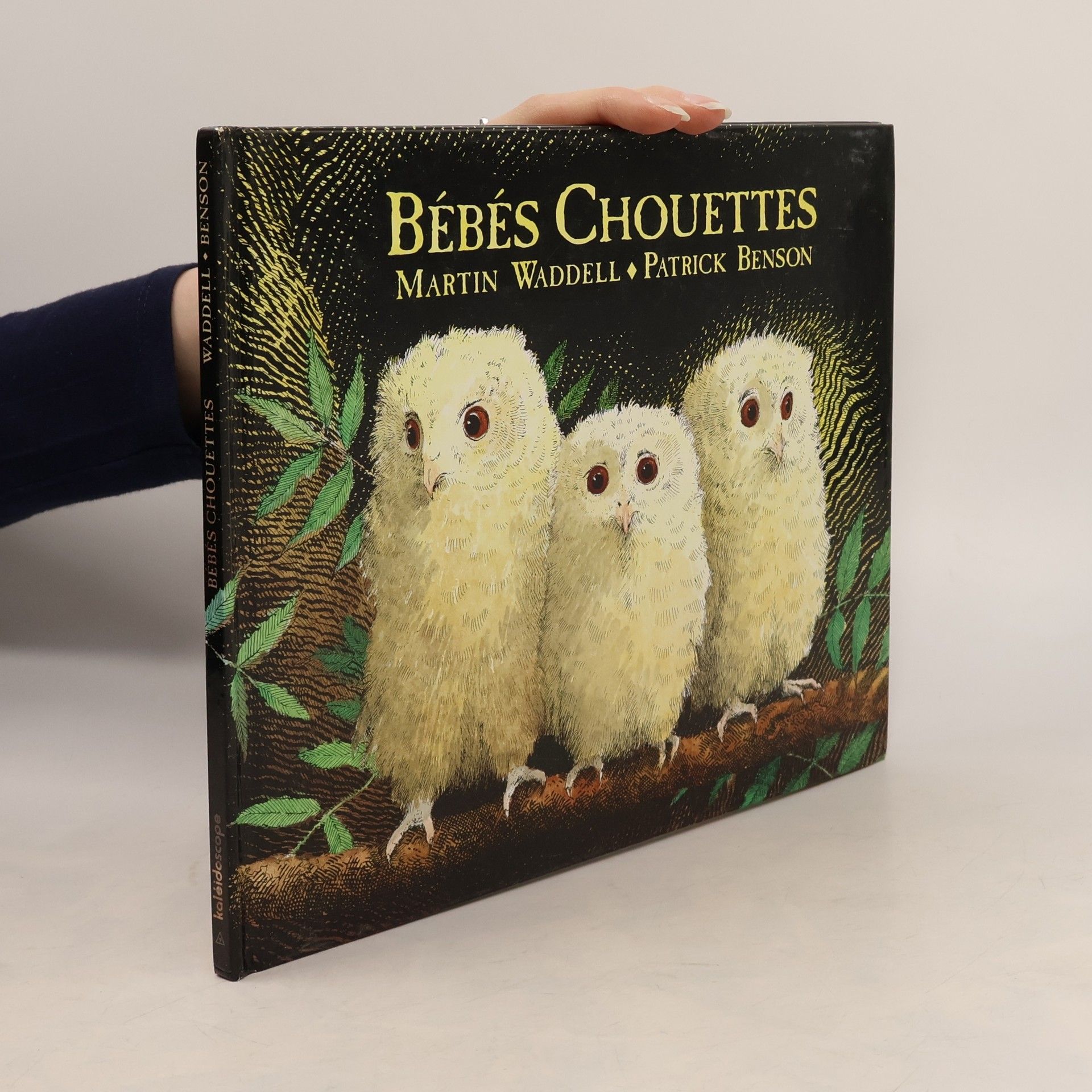 Patrick Benson Bébés chouettes