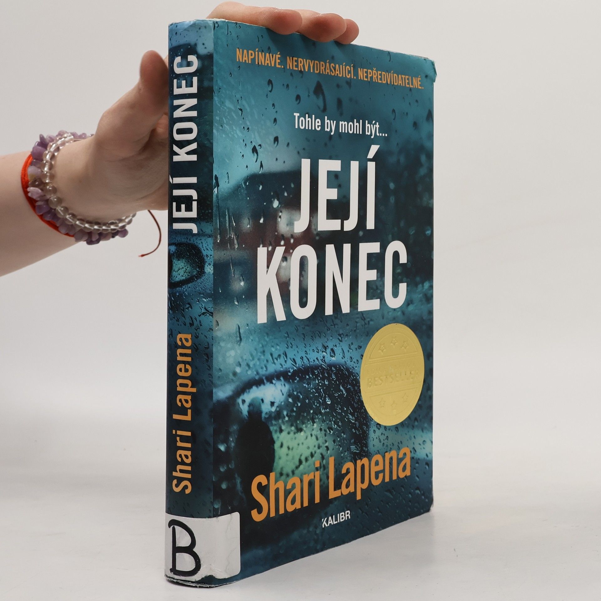 Shari Lapena Její konec