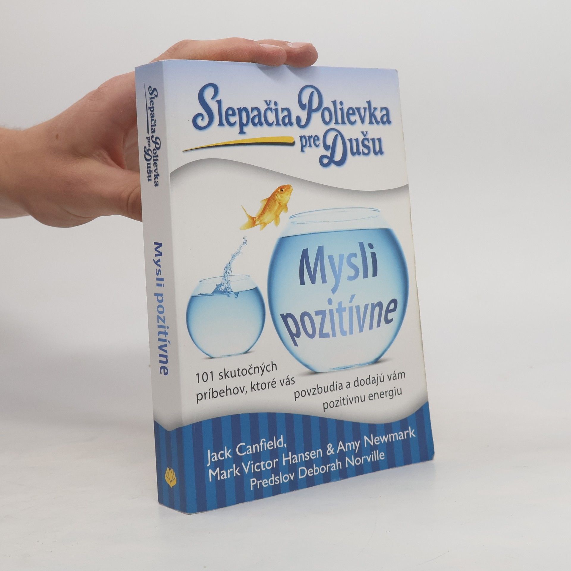 Amy Newmark Slepačia polievka pre dušu: Mysli pozitívne