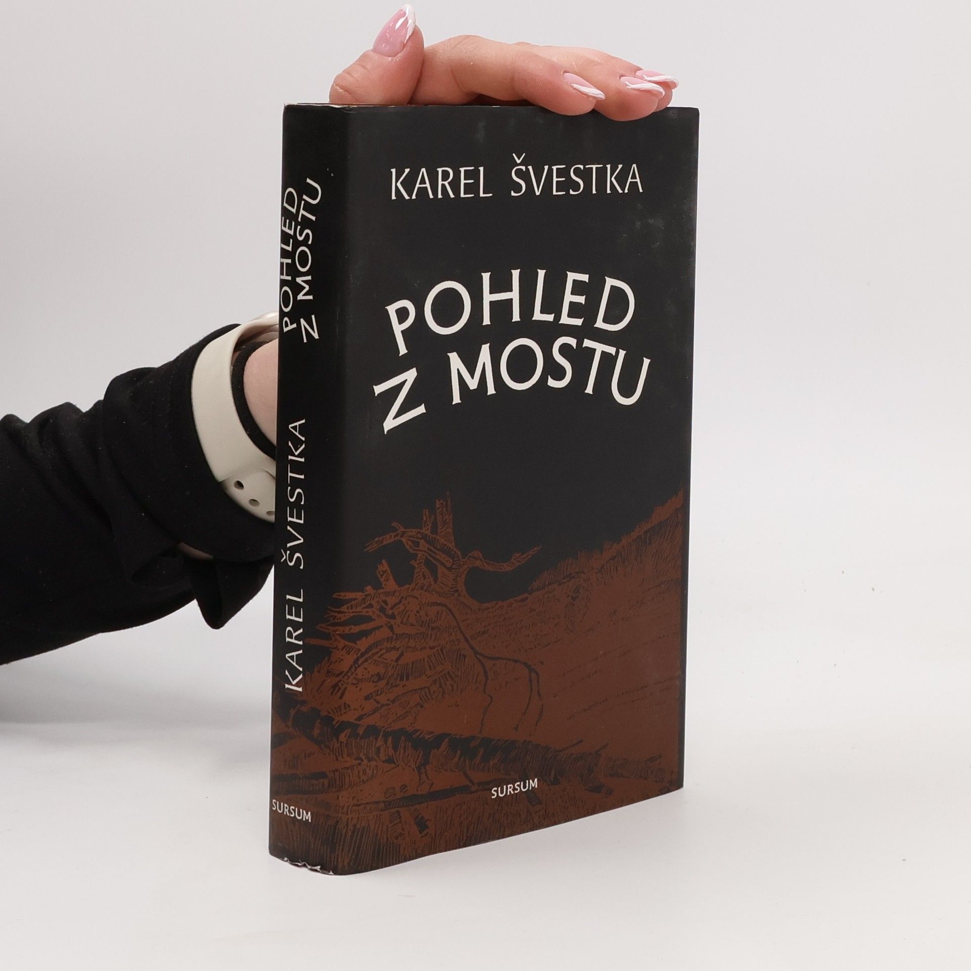 Pohled z mostu