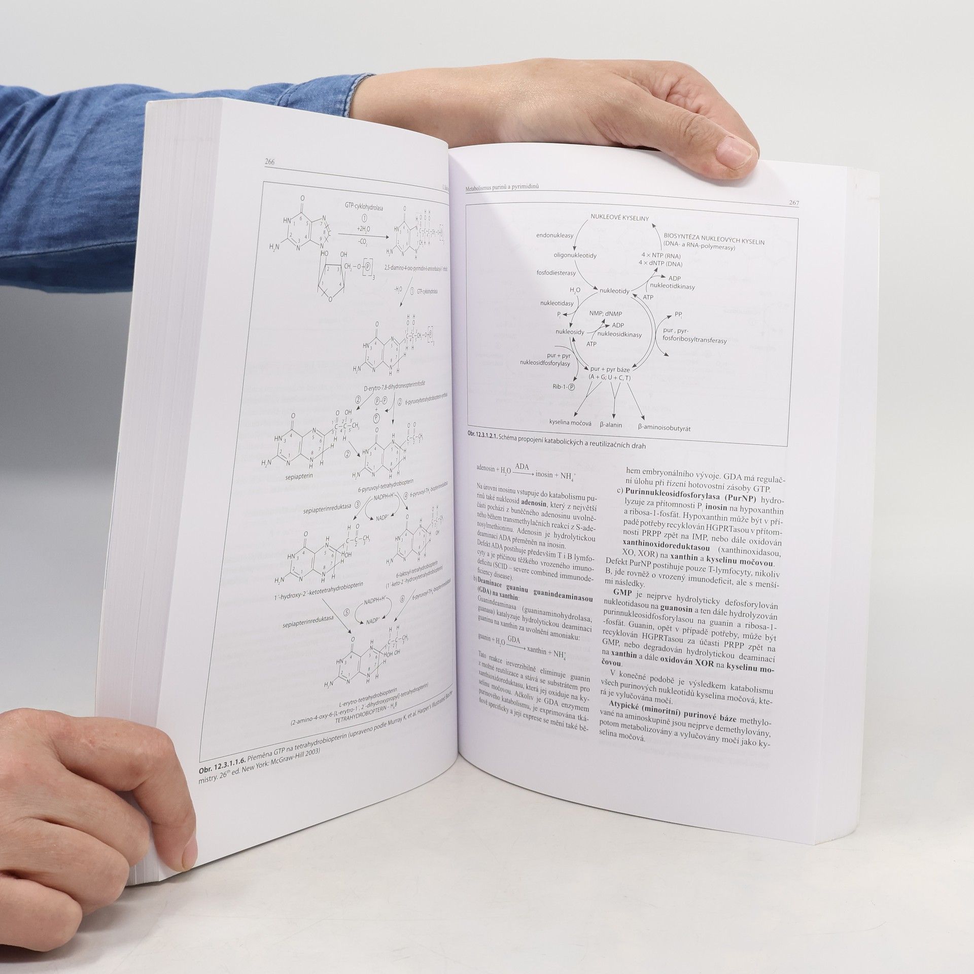Bohuslav Matouš Základy lékařské chemie a biochemie
