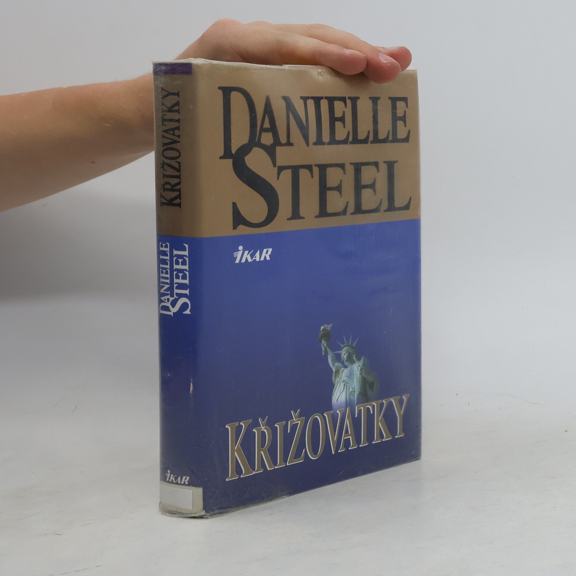 Danielle Steel Křižovatky