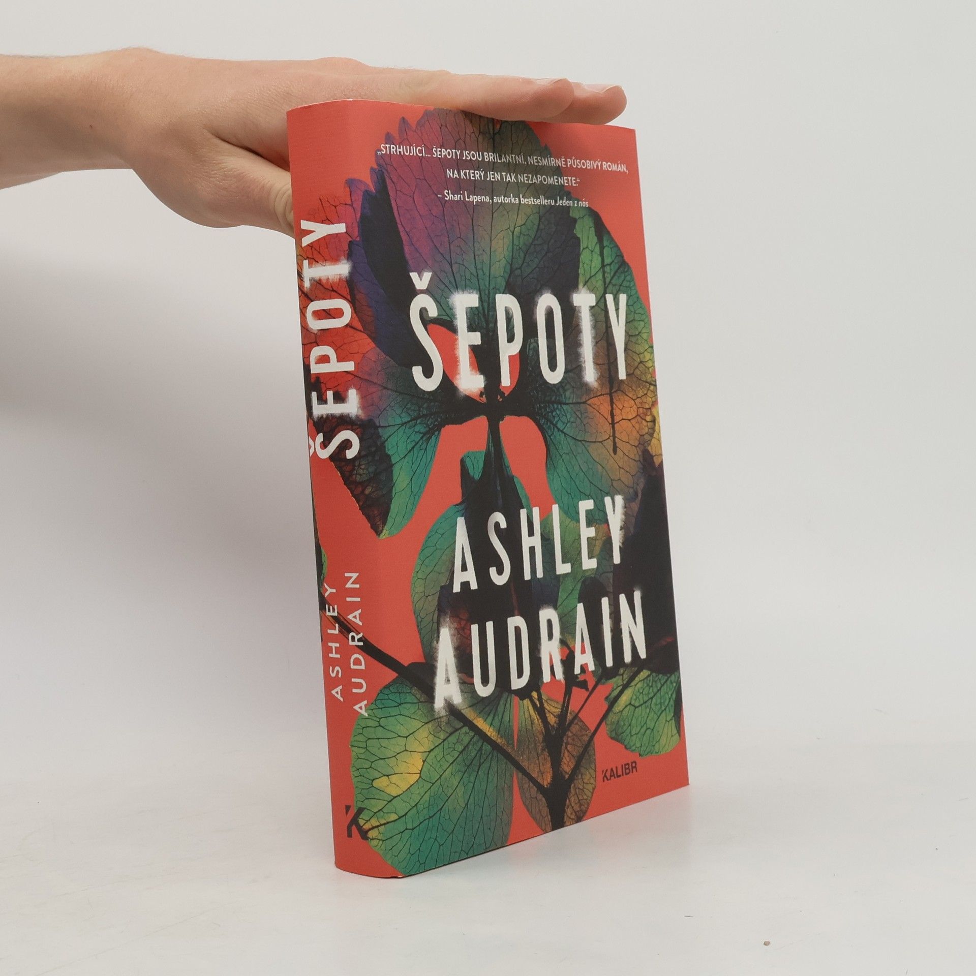 Ashley Audrain Šepoty