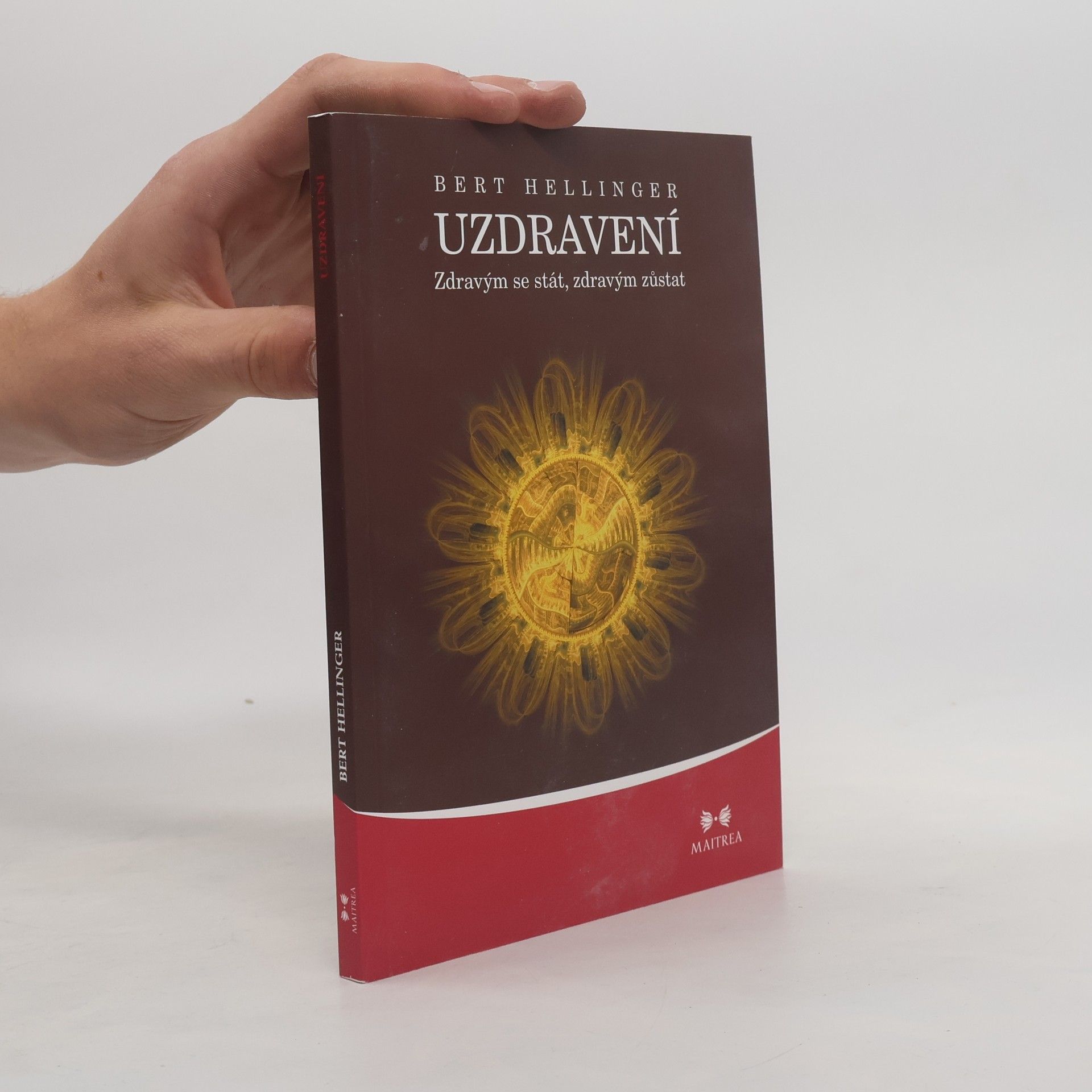 Bert Hellinger Uzdravení. Zdravým se stát, zdravým zůstat