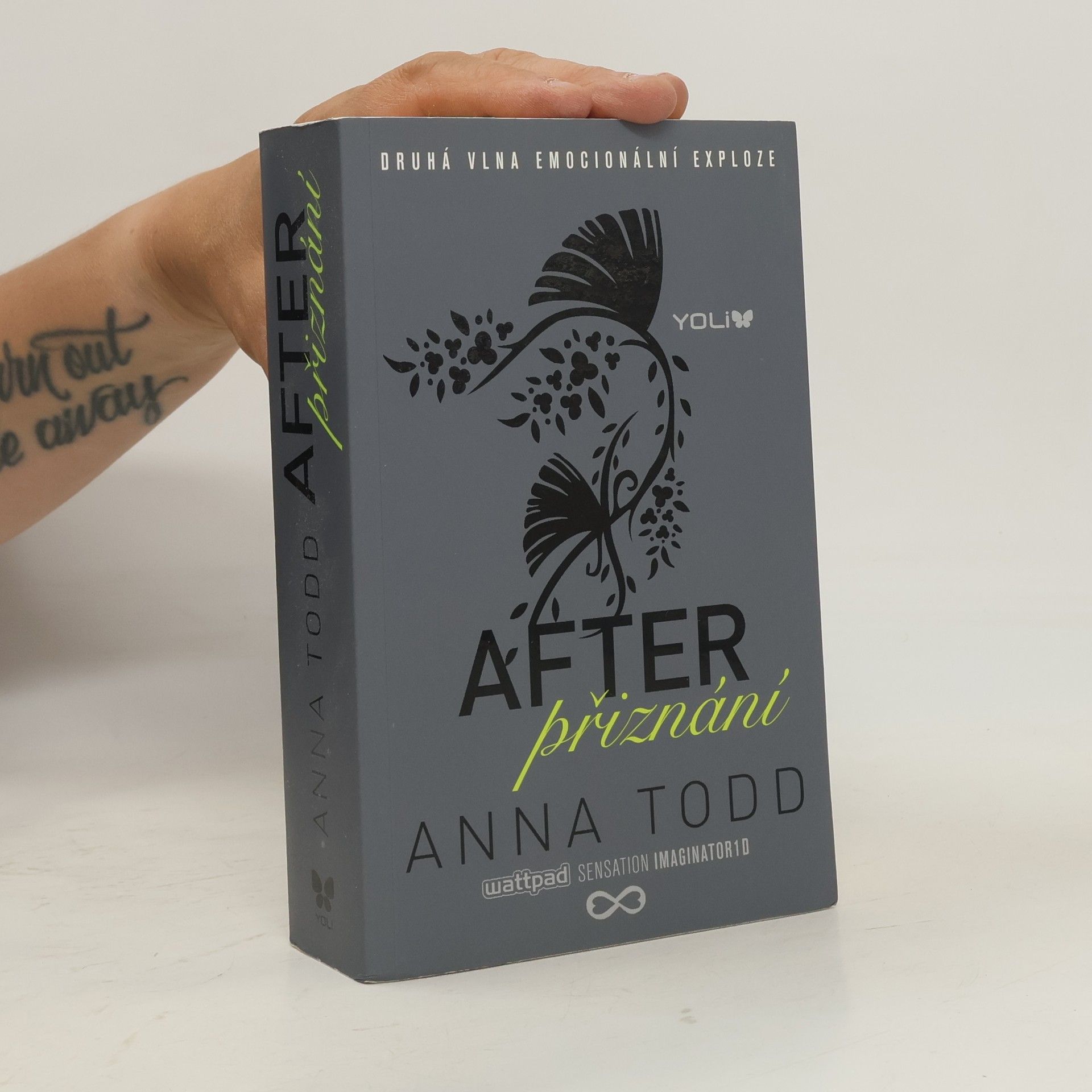 Anna Todd After. Přiznání