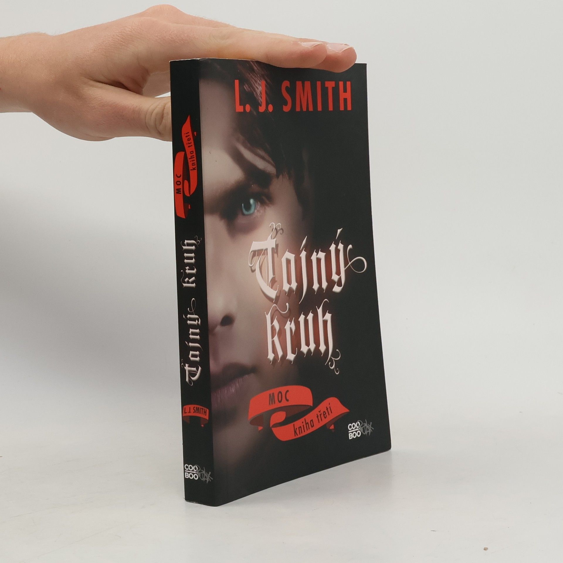 L. J. Smith Tajný kruh. Moc