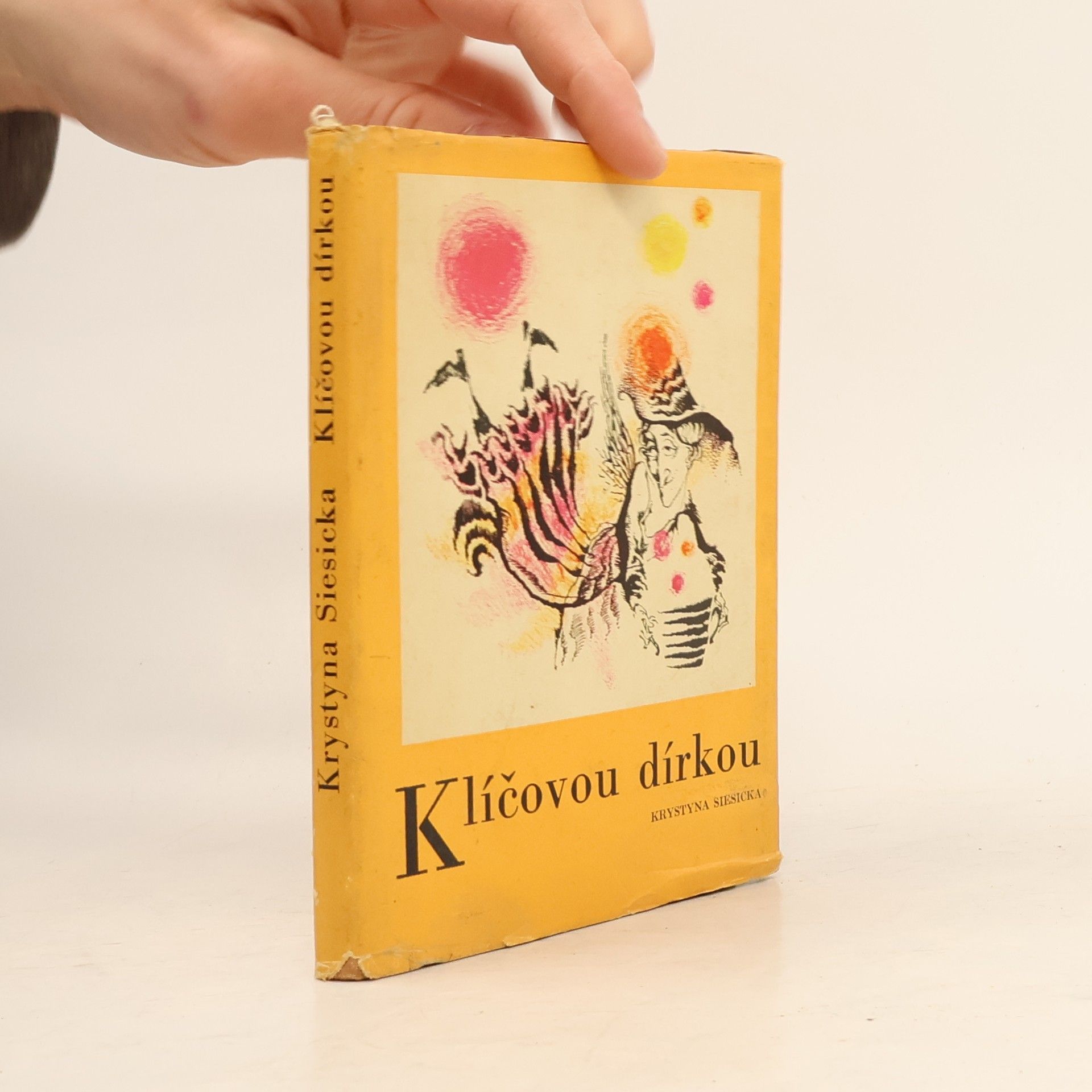 Krystyna Siesicka Klíčovou dírkou