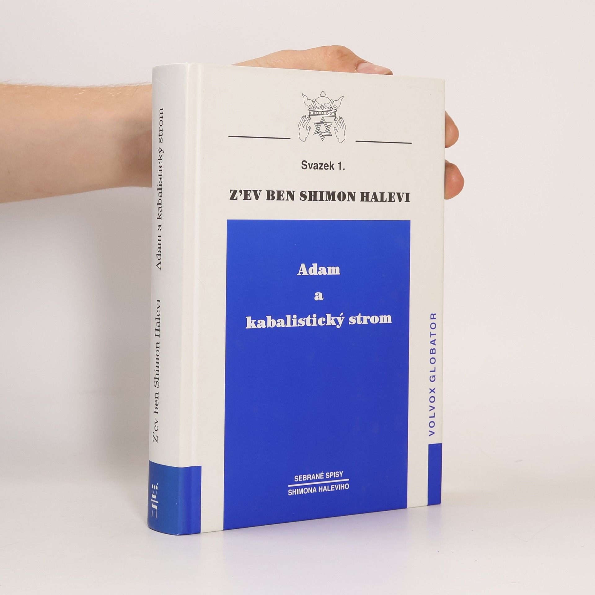 Zev Ben-Shimon Halevi Adam a kabalistický strom