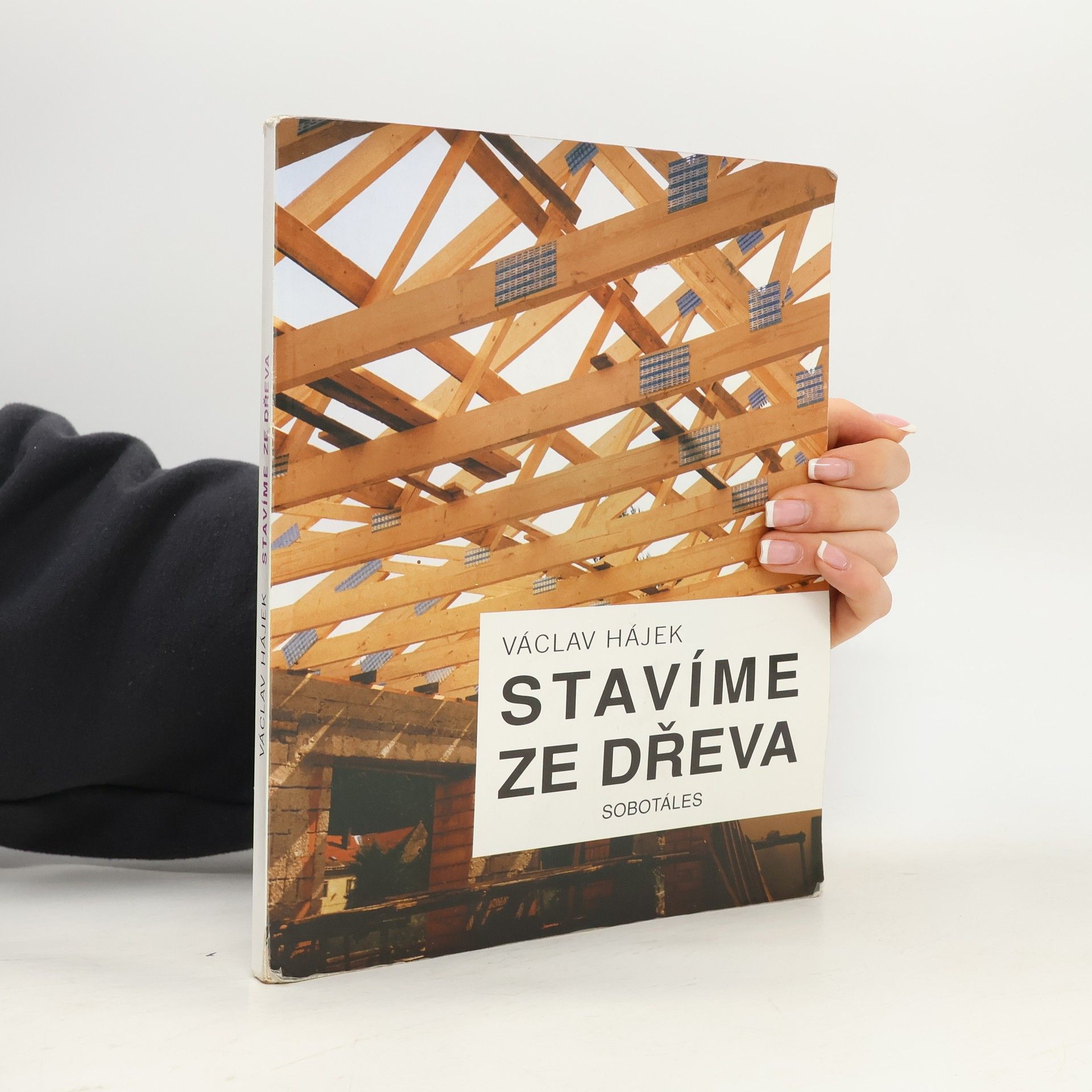 Václav Hájek Stavíme ze dřeva