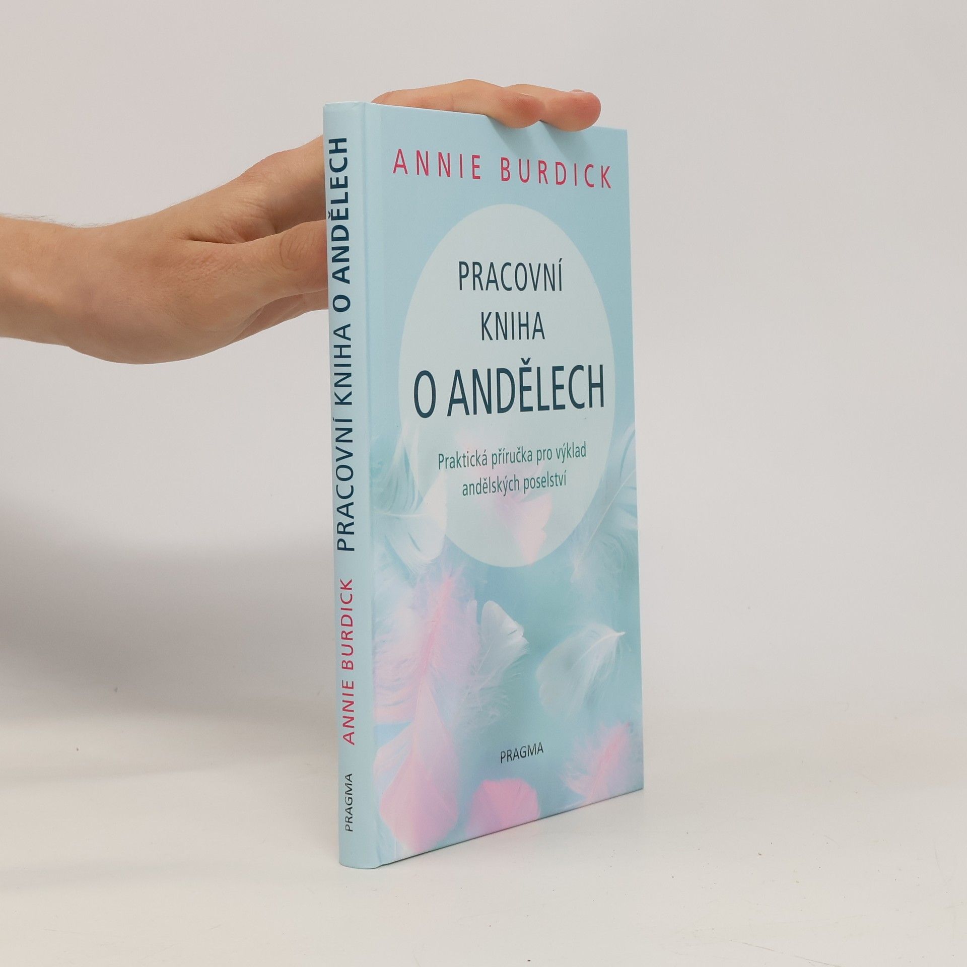 Annie Burdick Pracovní kniha o andělech