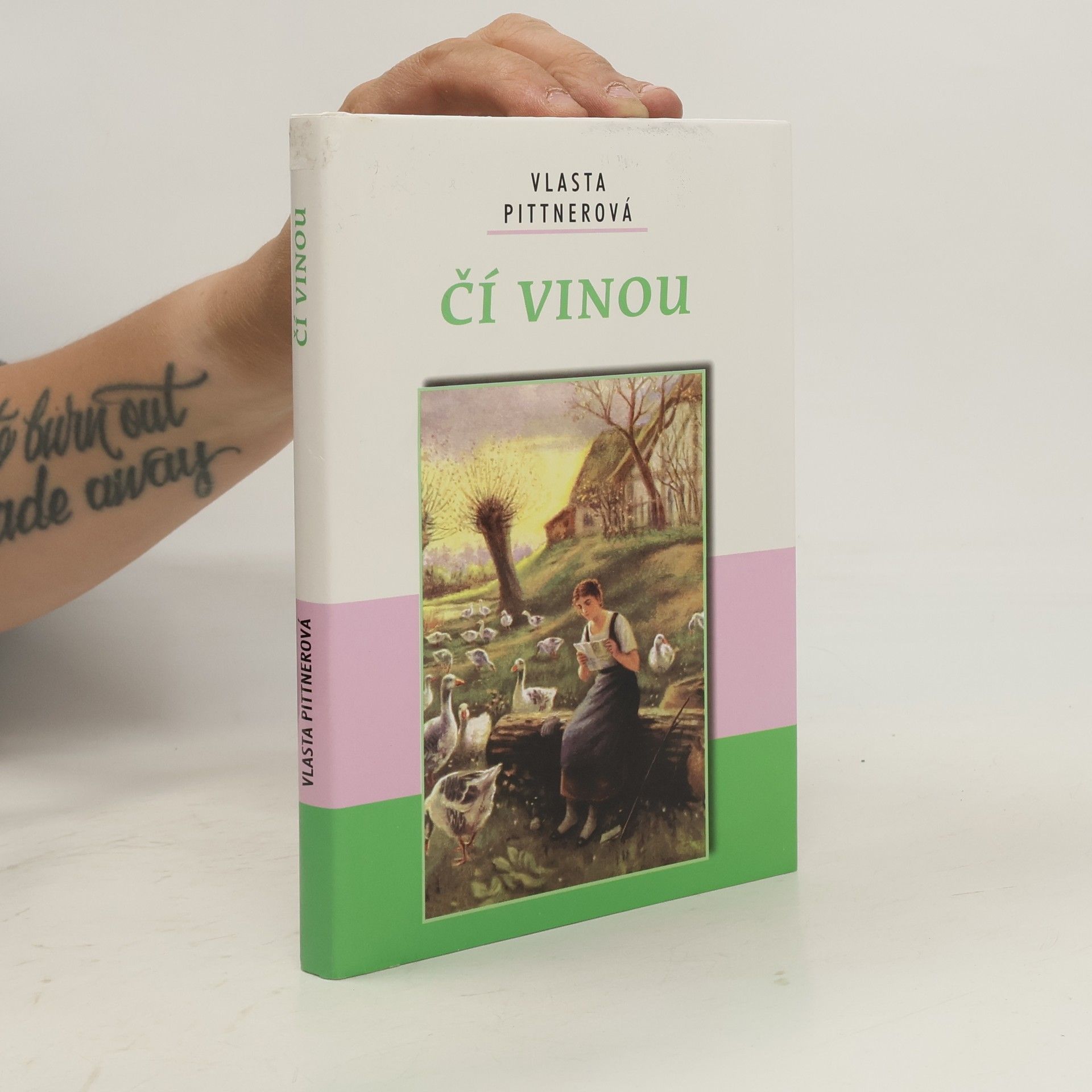 Čí vinou