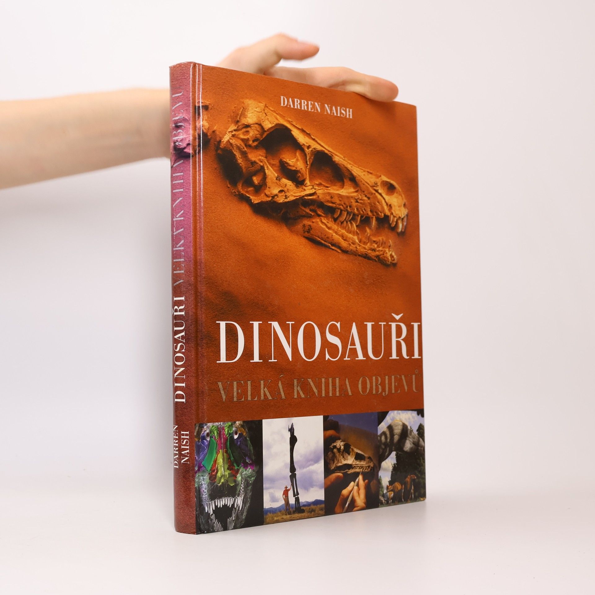 Darren Naish Dinosauři: Velká kniha objevů