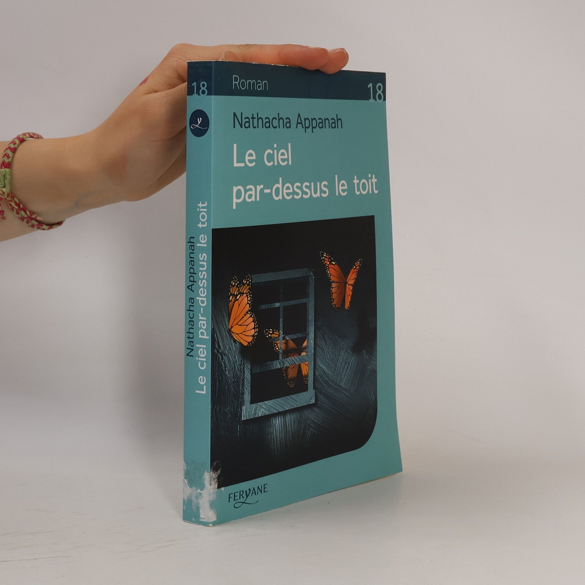 Le ciel par-dessus le toit