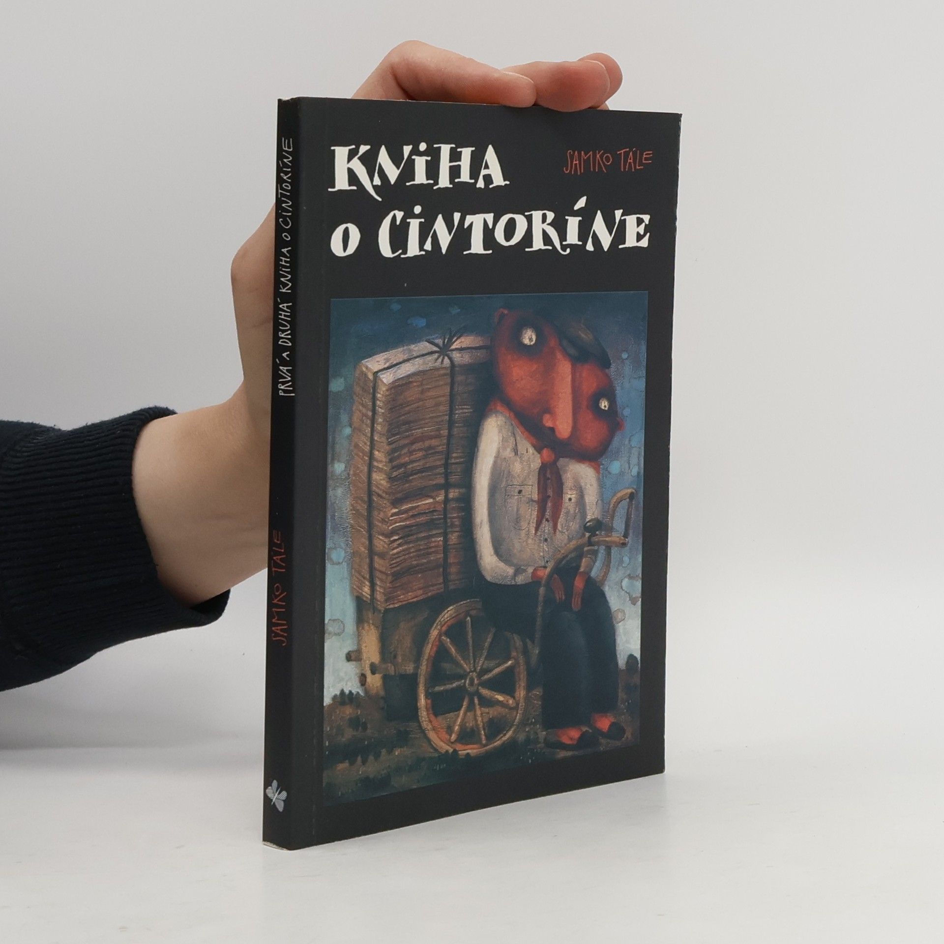 Daniela Kapitáňová Kniha o cintoríne