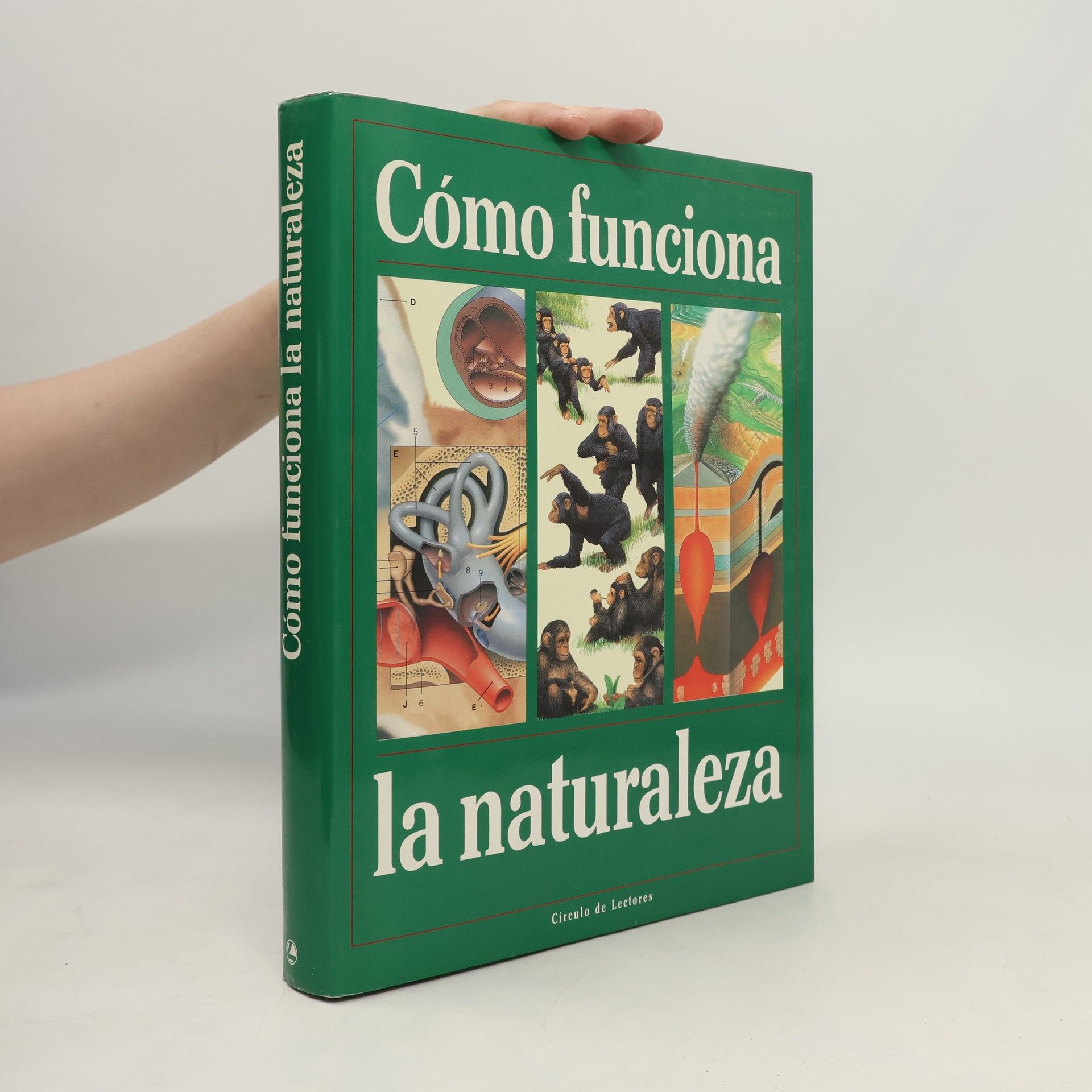 Autorenkollektiv Cómo funciona la naturaleza