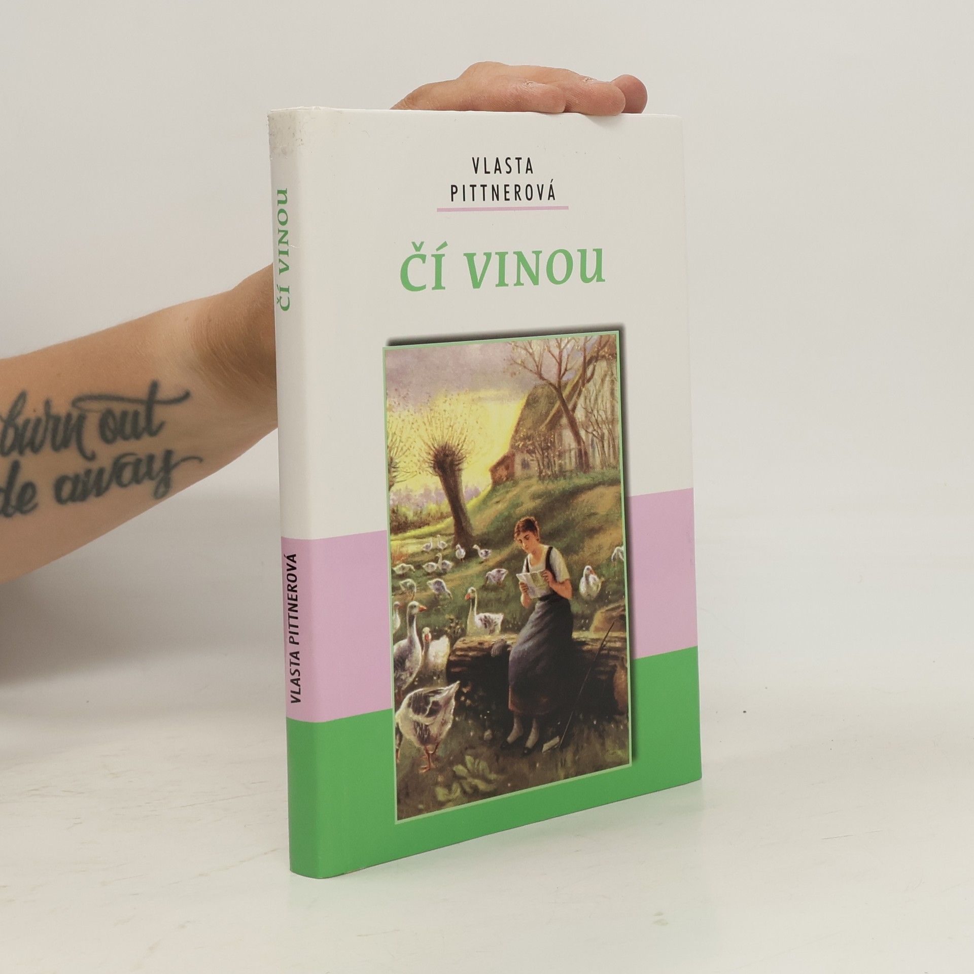 Vlasta Pittnerová Čí vinou