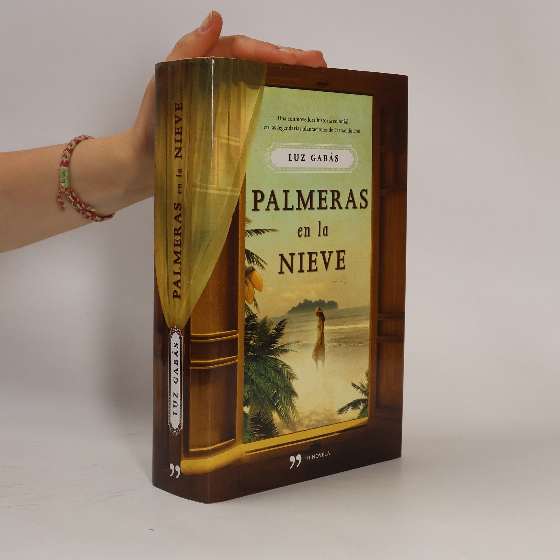 Luz Gabás Palmeras en la nieve