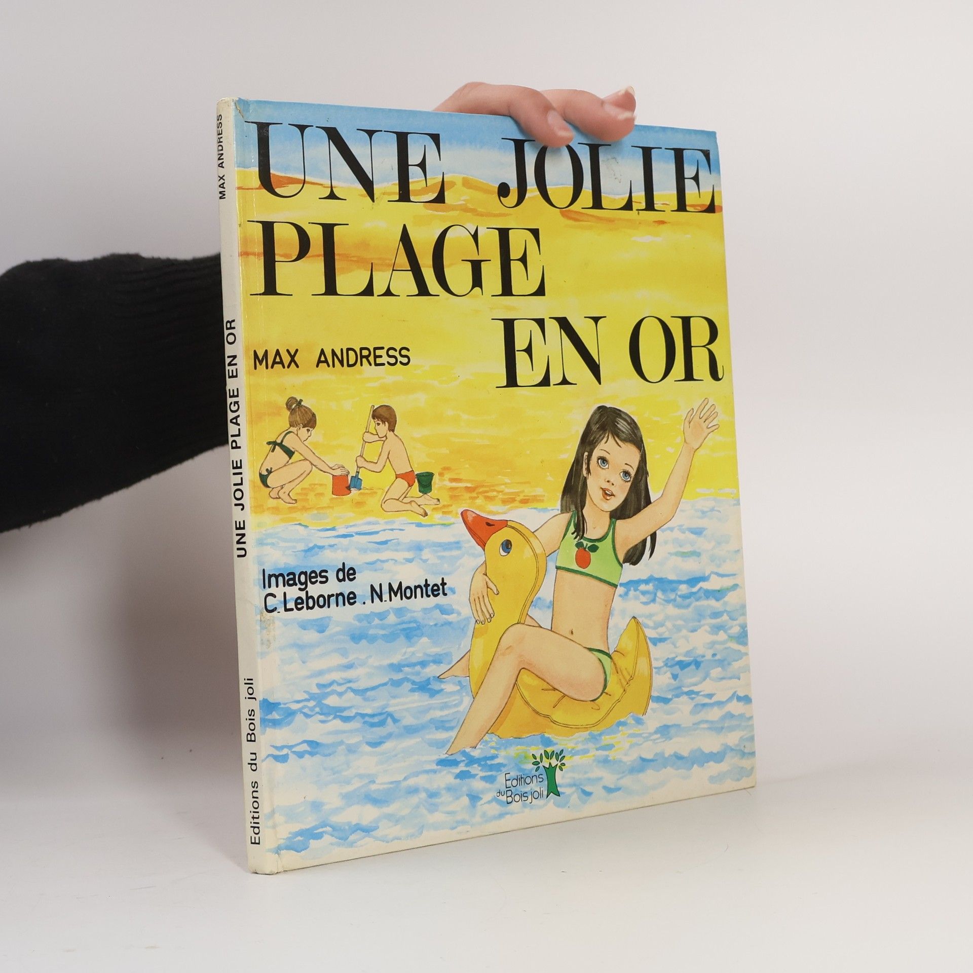 Auteurscollectief Une jolie plage en or