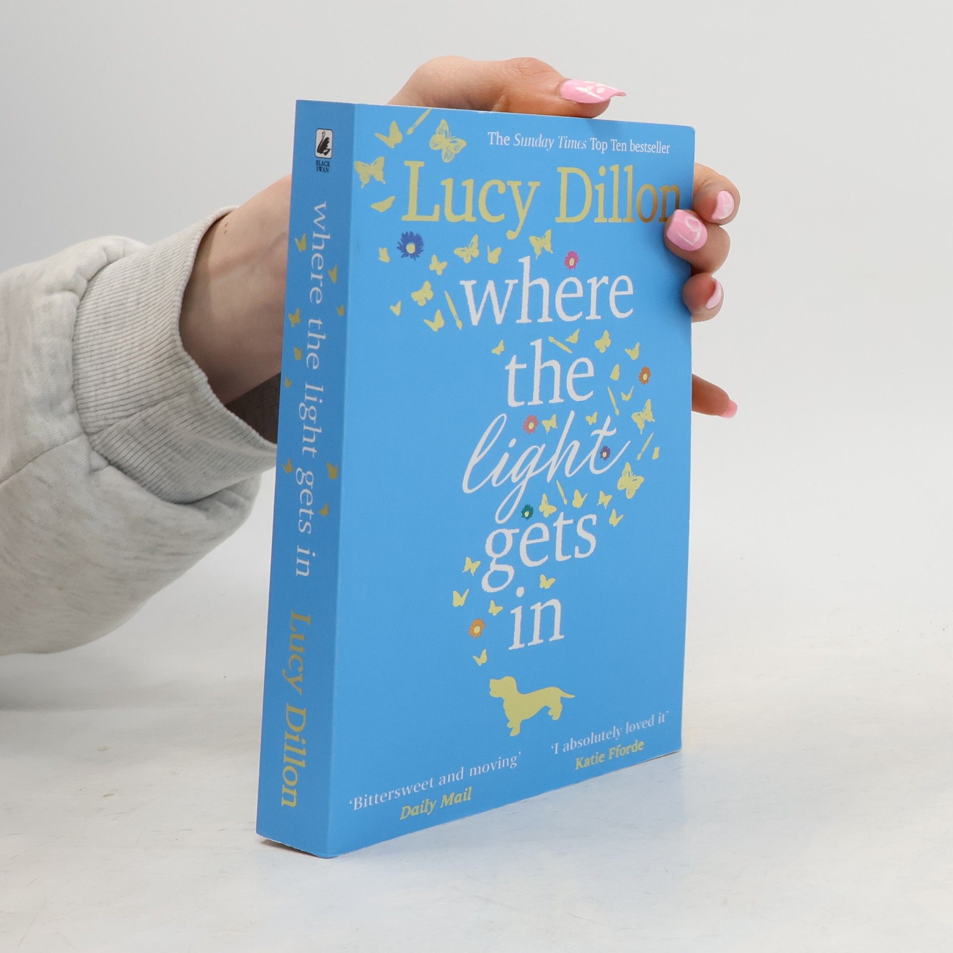 Lucy Dillon Where The Light Gets In