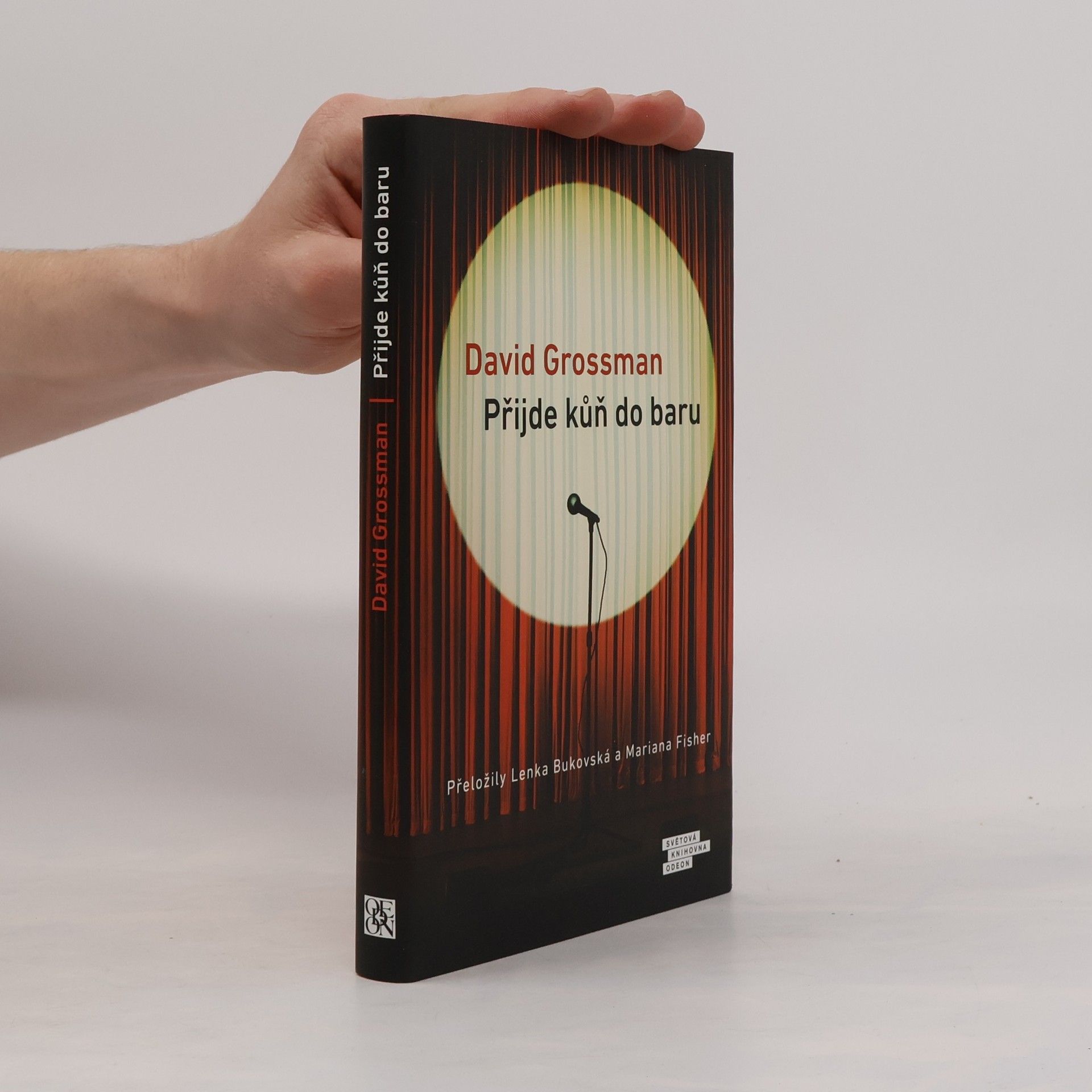 David Grossman Přijde kůň do baru