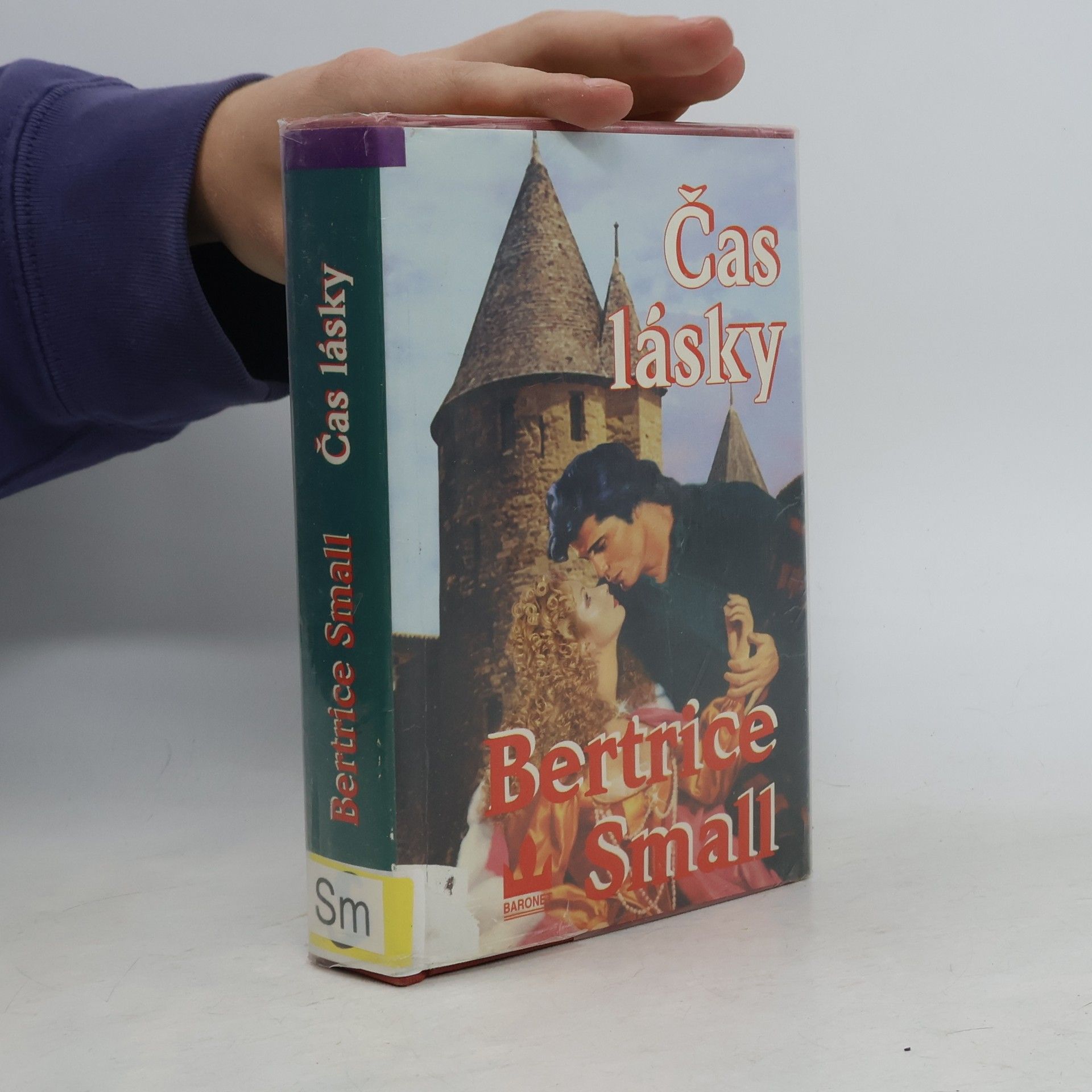 Bertrice Small Čas lásky