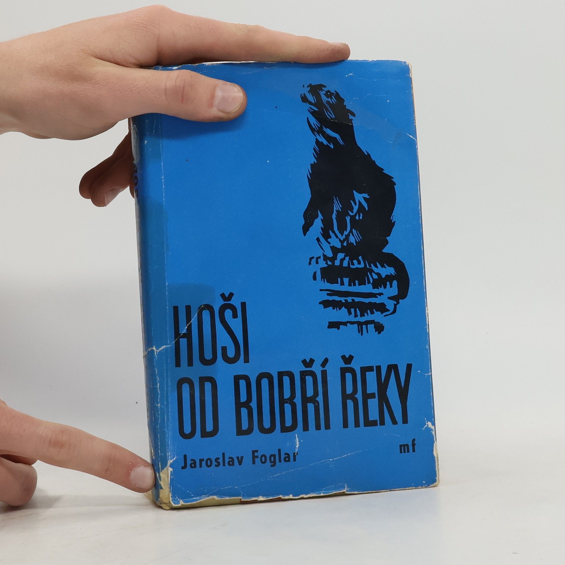 Jaroslav Foglar Hoši od Bobří řeky