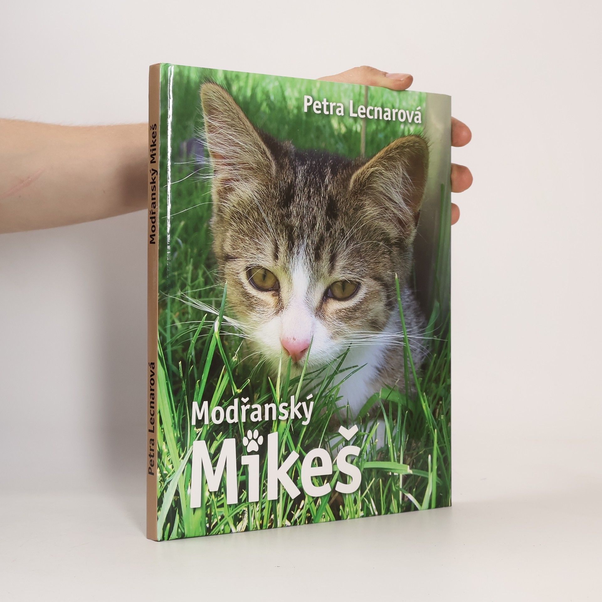 Petra Lecnarová Modřanský Mikeš