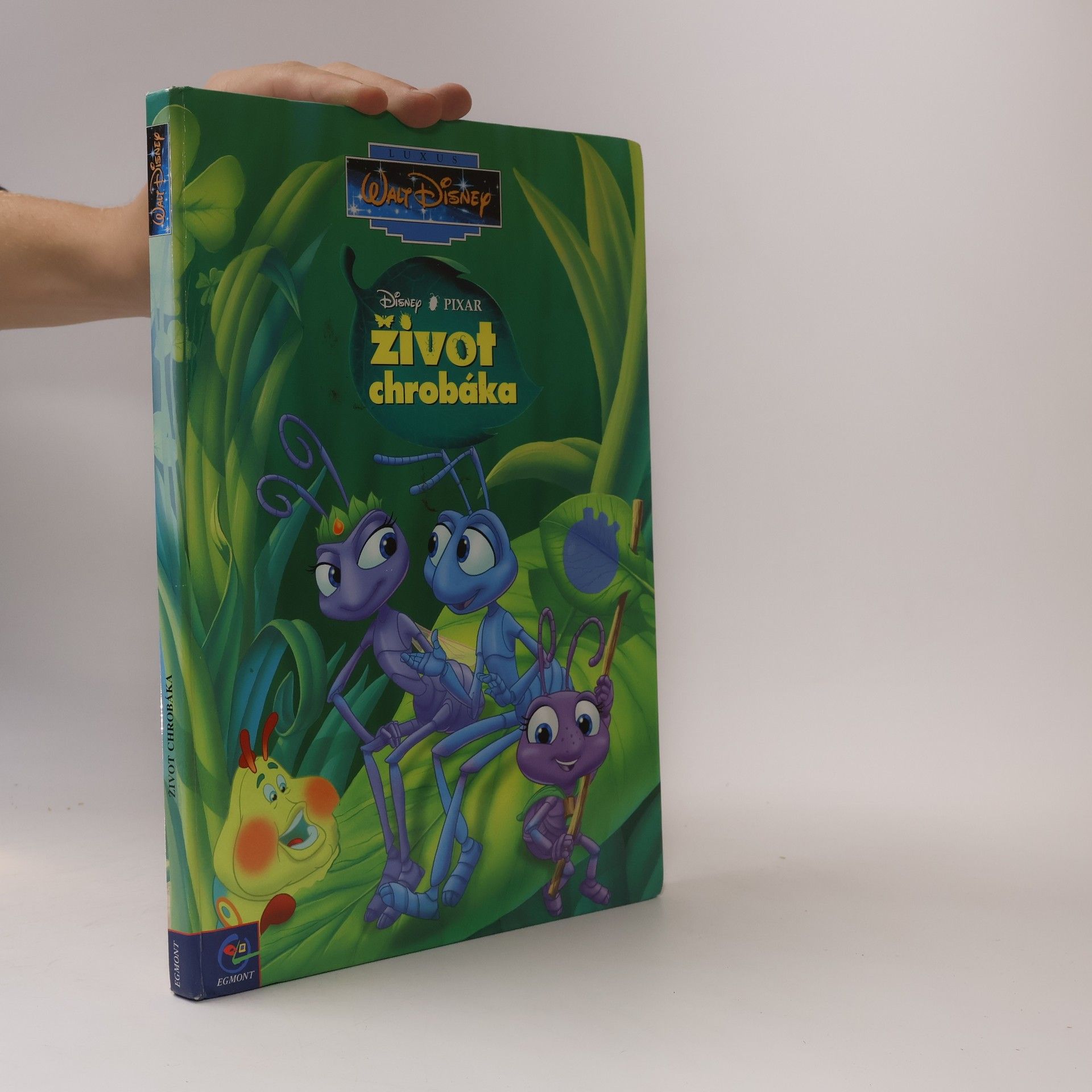Autorenkollektiv Život chrobáka
