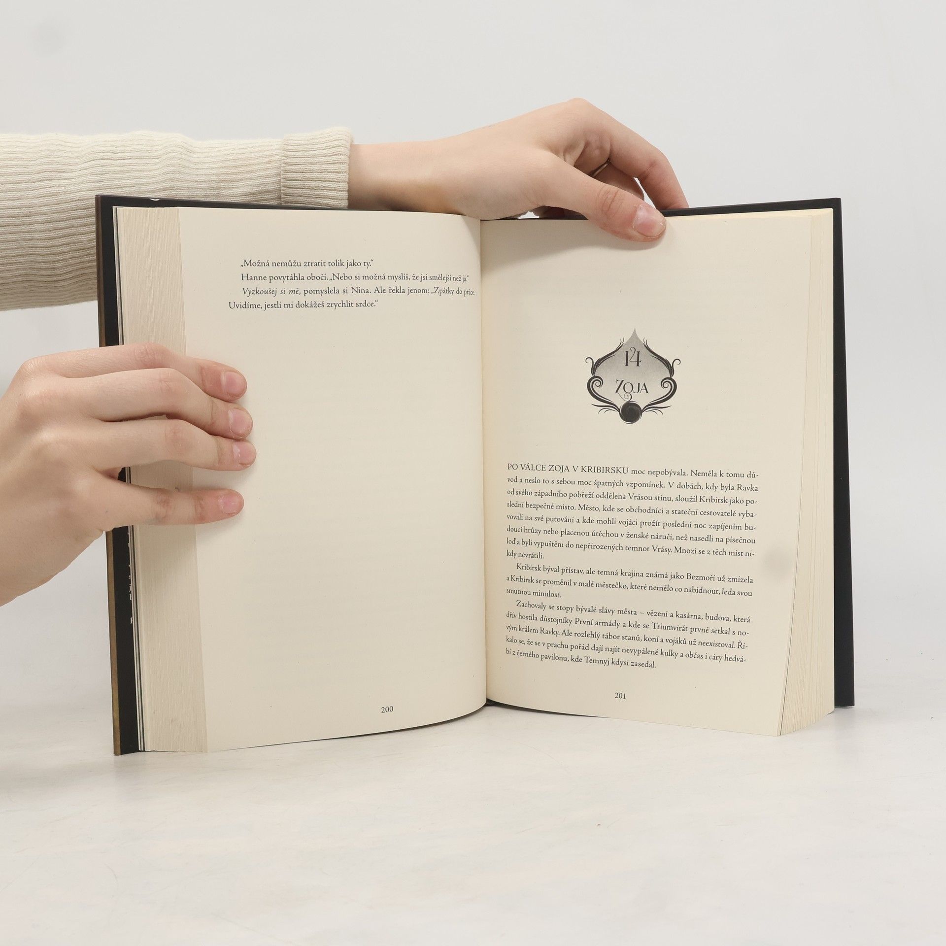 Leigh Bardugo Zjizvený král