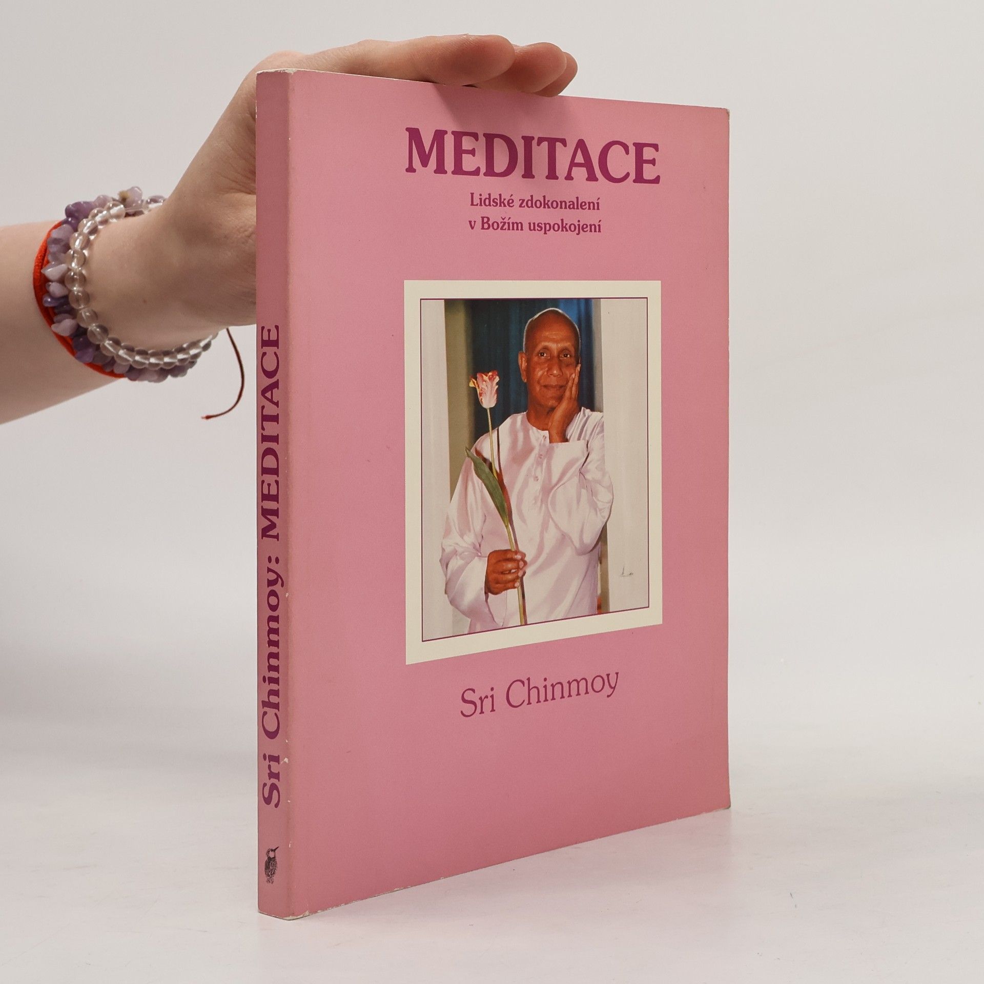 Chinmoy Kumar Ghose Meditace. Lidské zdokonalení k uspokojení Boha