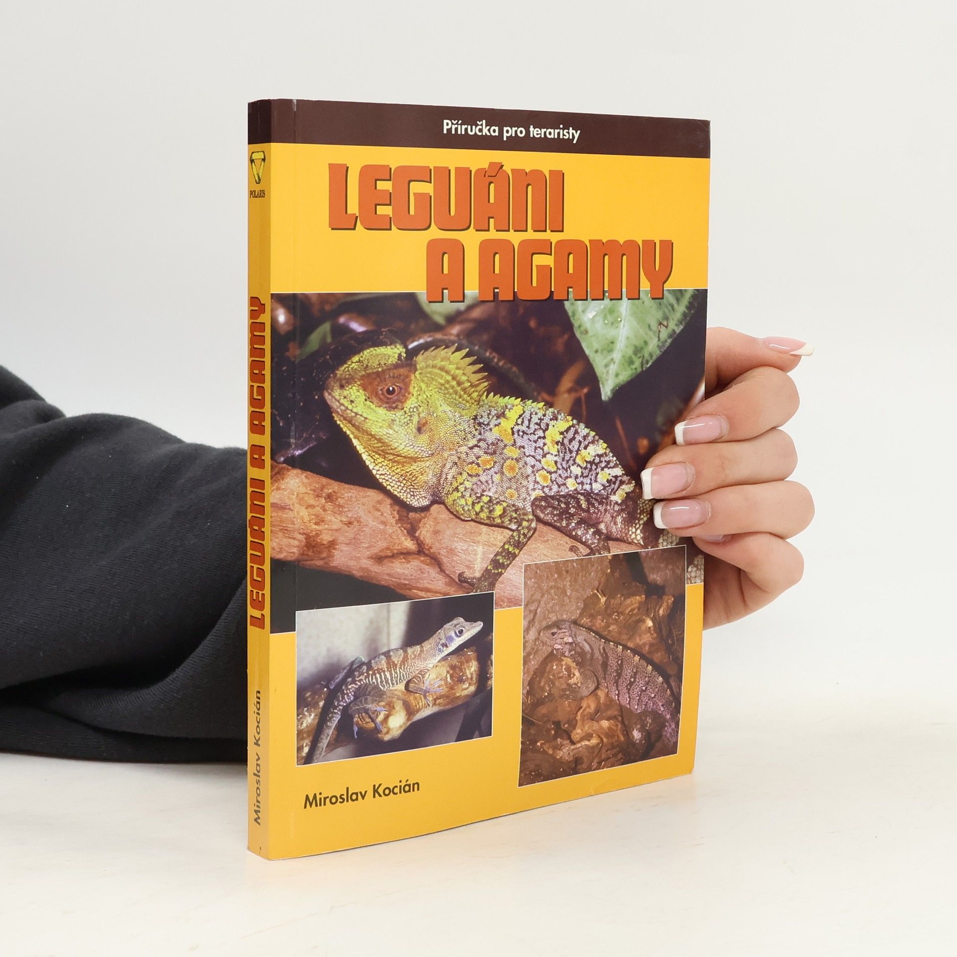 Leguáni a agamy : příručka pro teraristy