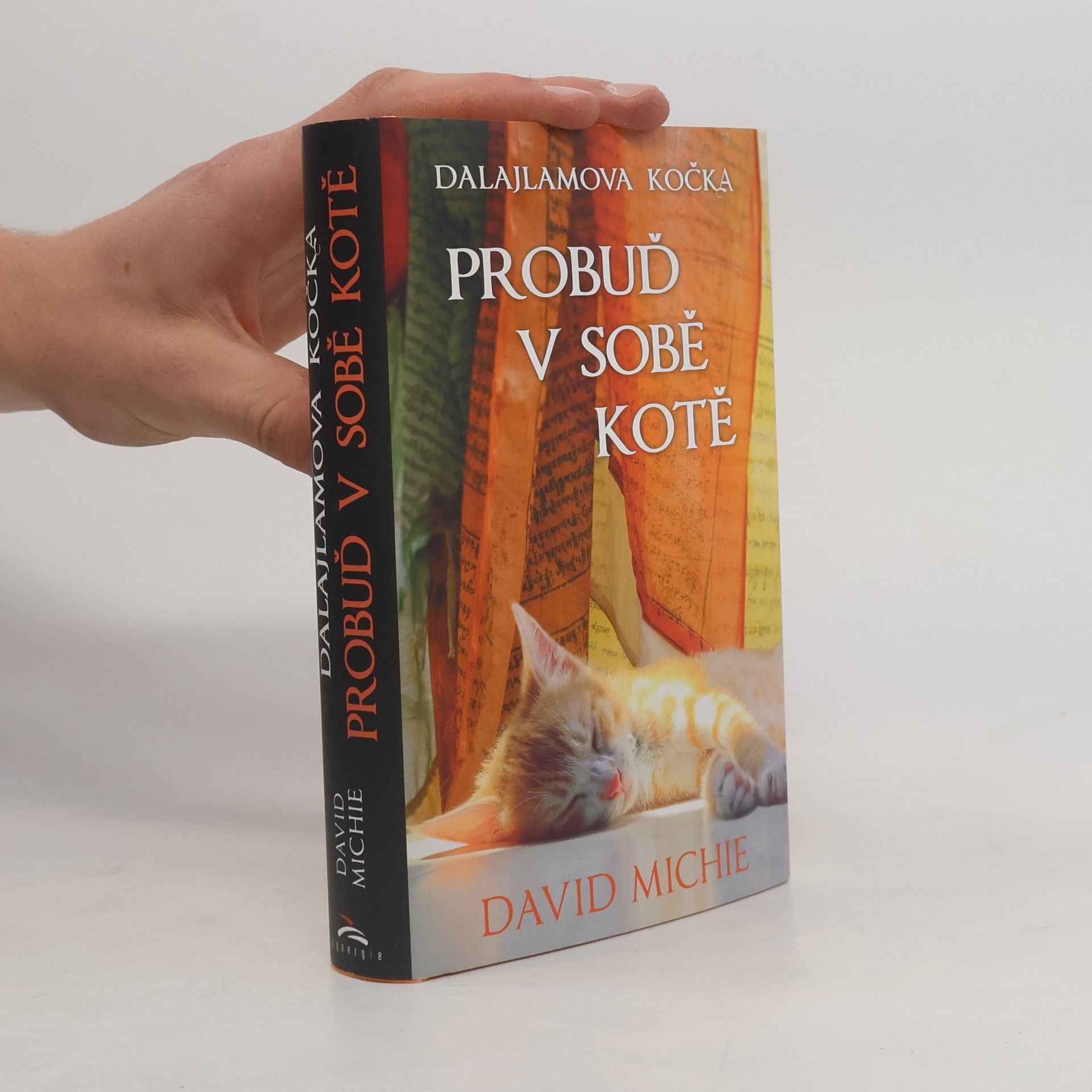 David Michie Dalajlamova kočka - probuď v sobě kotě