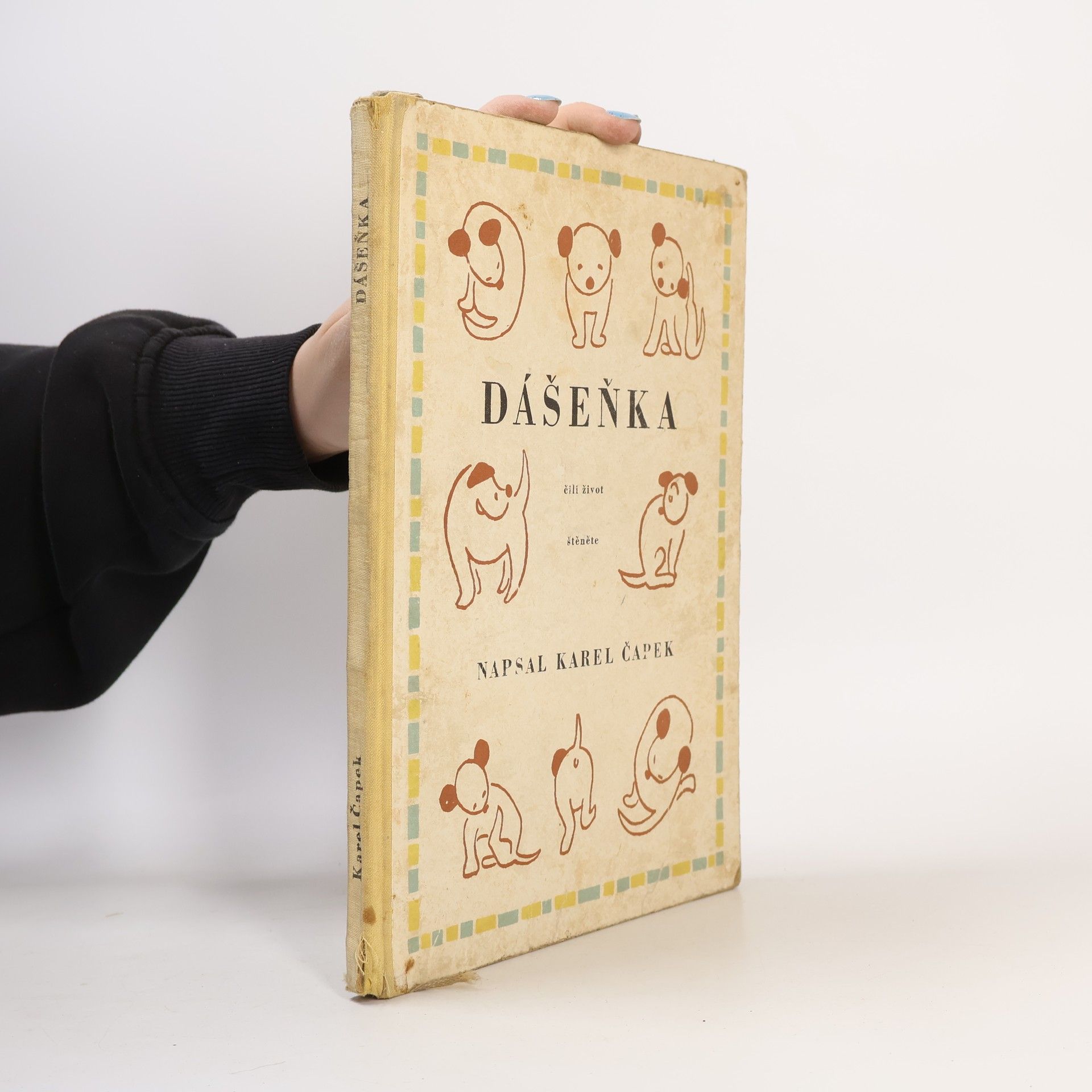 Karel Čapek Dášeňka, čili, život štěněte