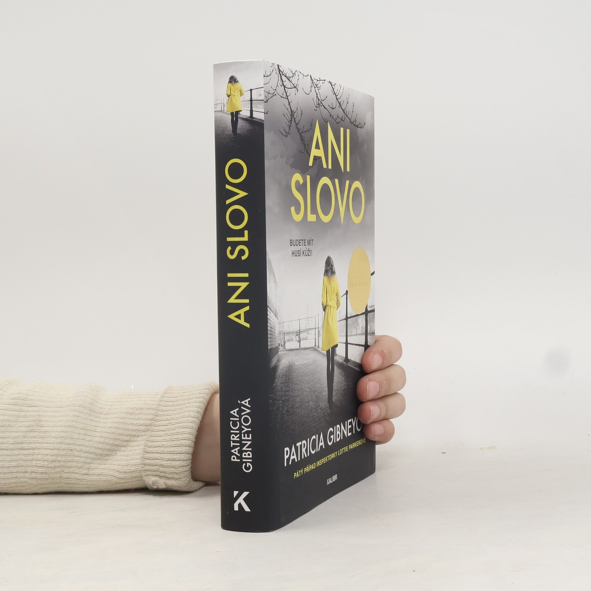 Patricia Gibney Ani slovo
