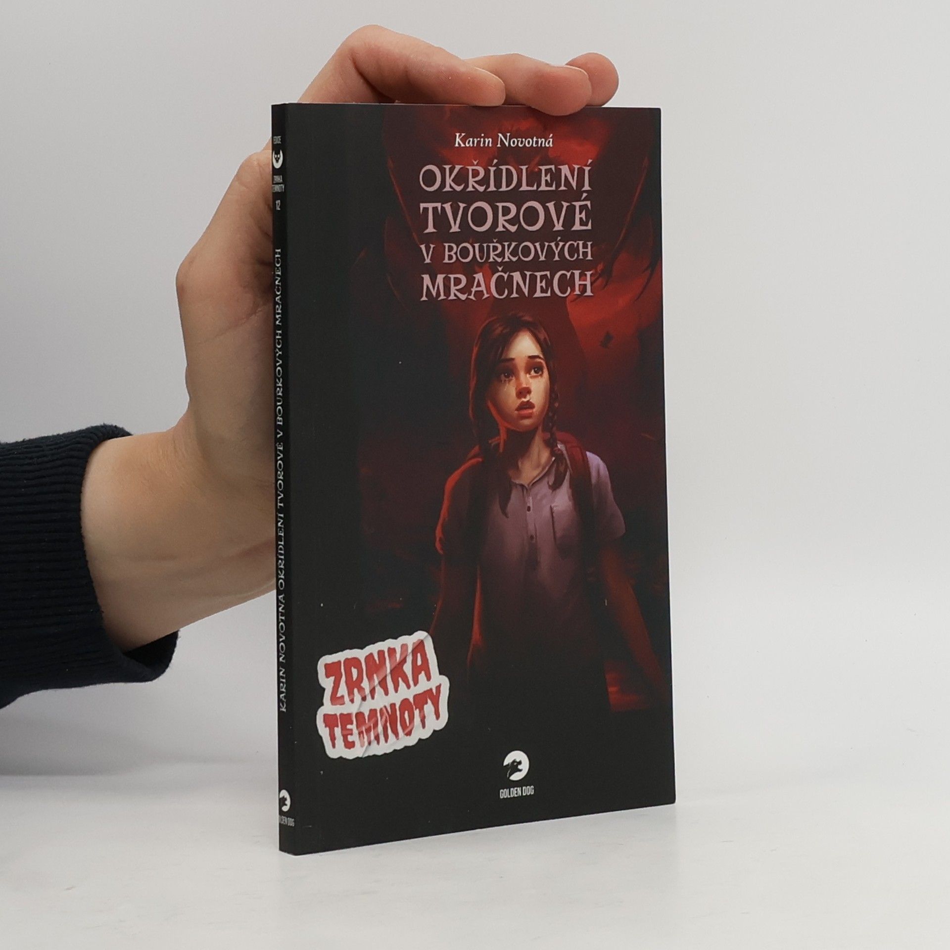 Karin Novotná Okřídlení tvorové v bouřkových mračnech