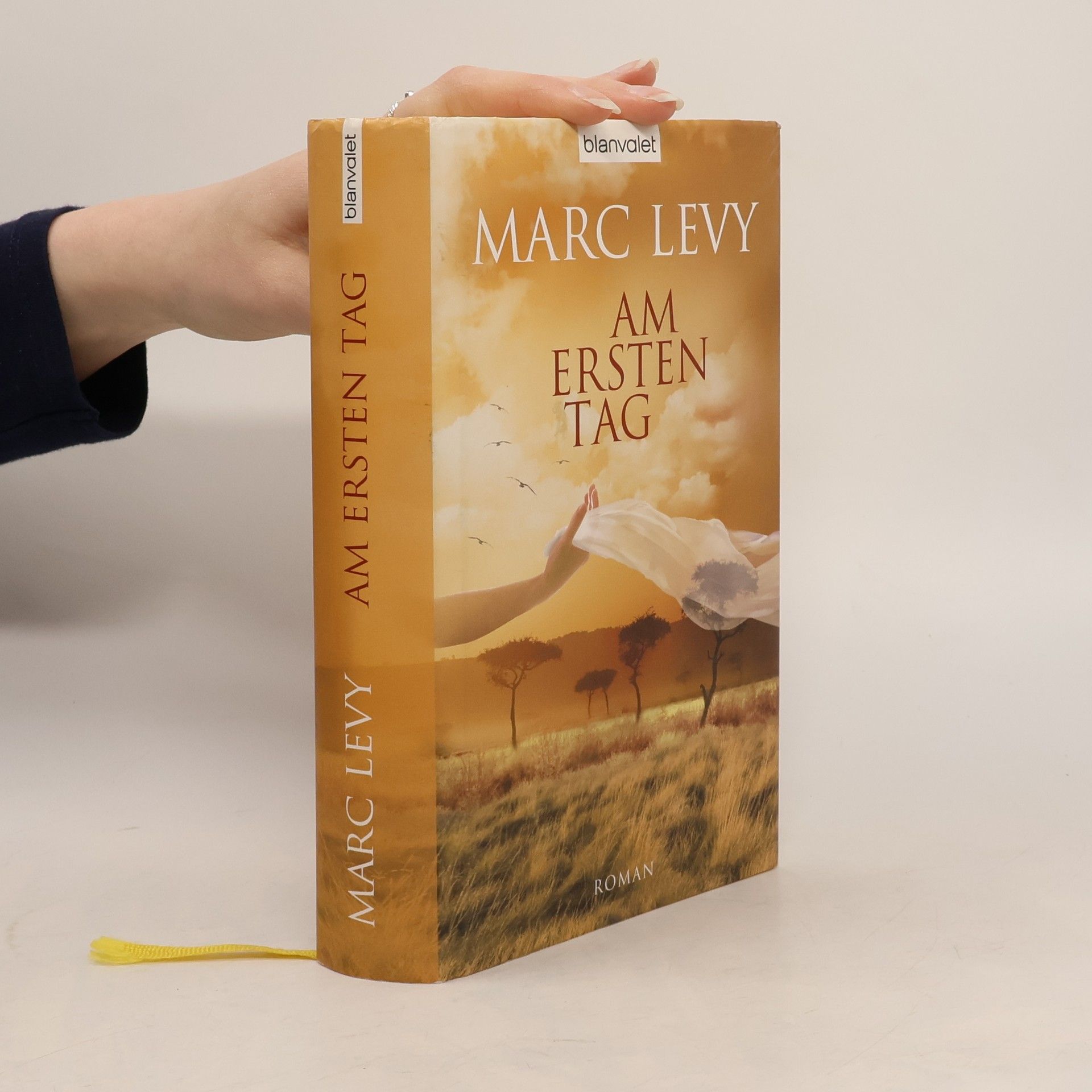 Marc Lévy Am ersten Tag