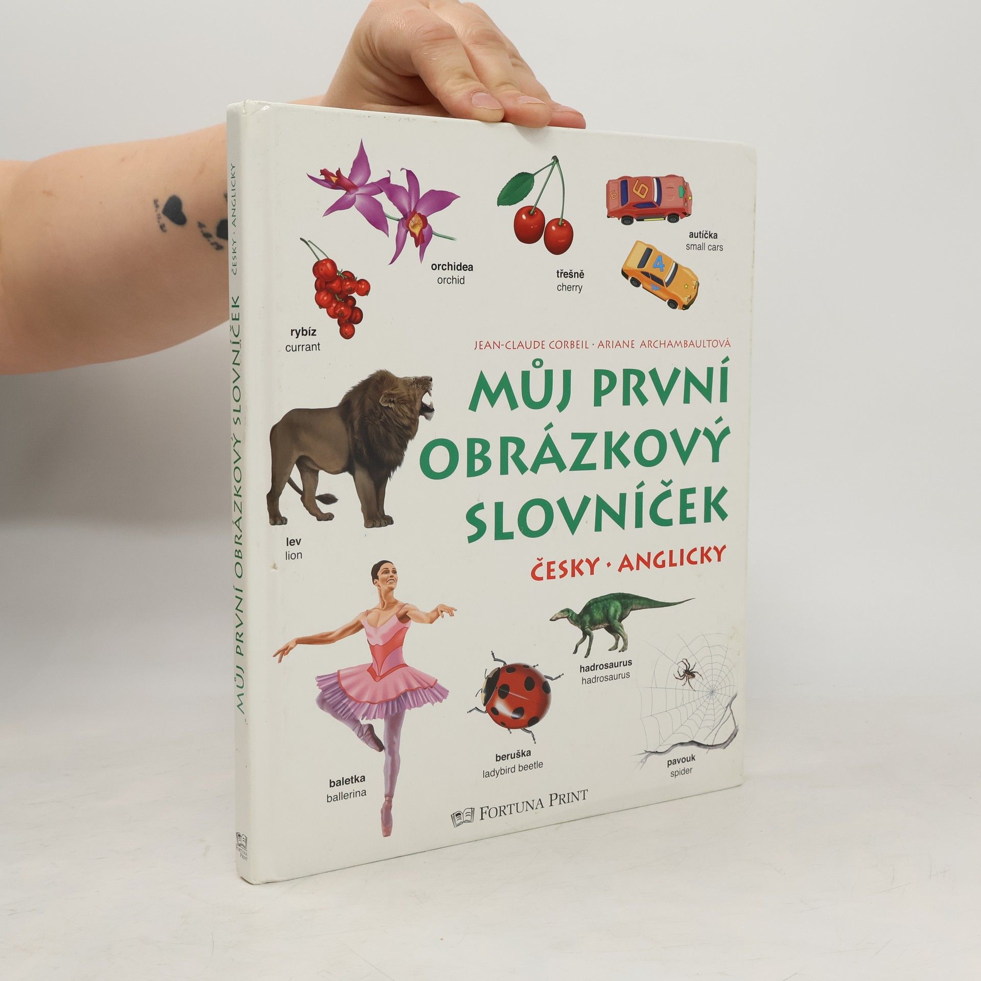Various authors Můj první obrázkový slovníček