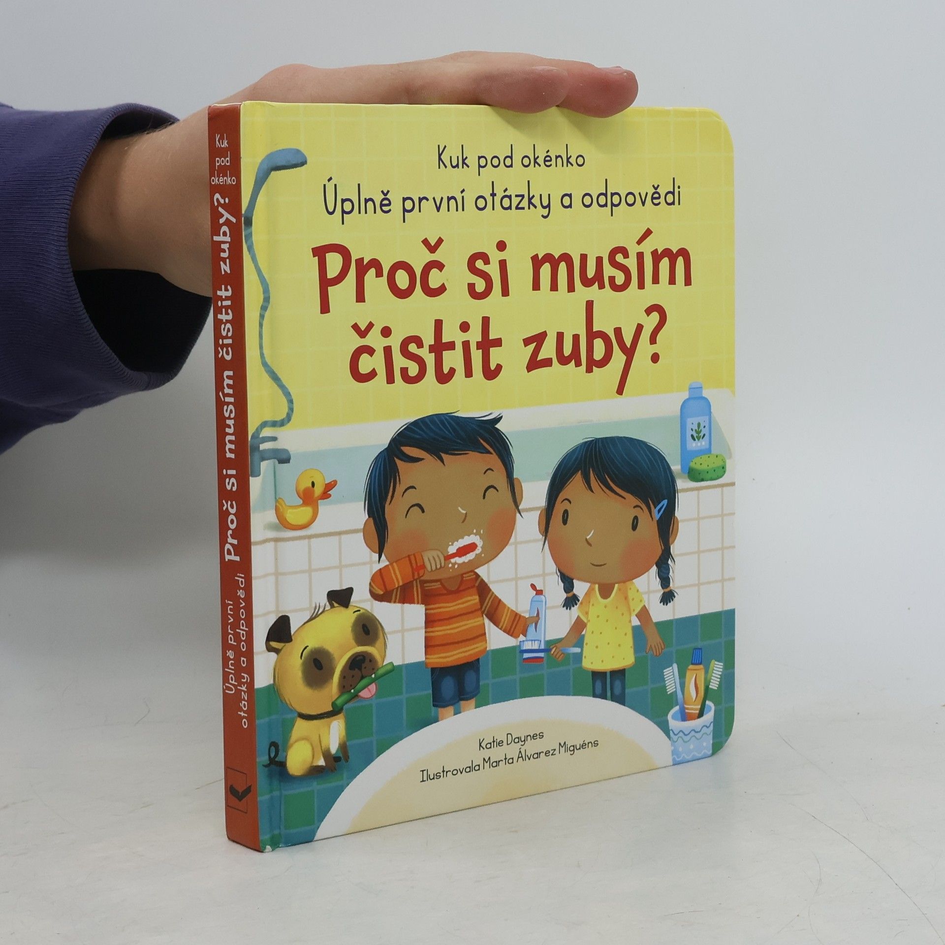 Katie Daynes Proč si musím čistit zuby?