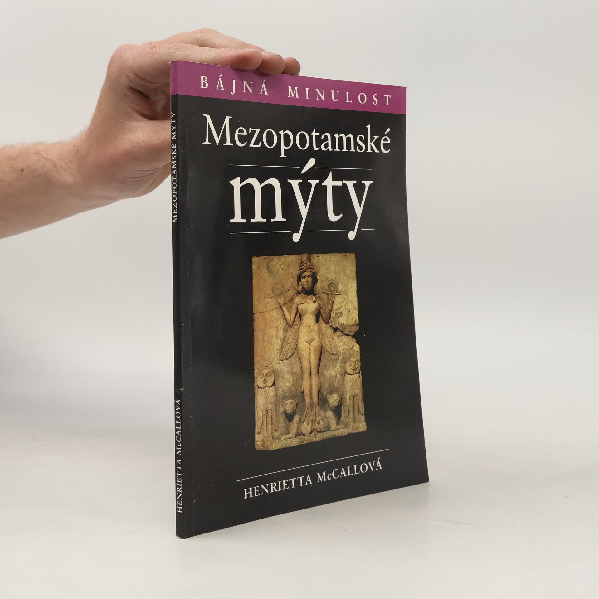Henrietta McCall Mezopotámské mýty
