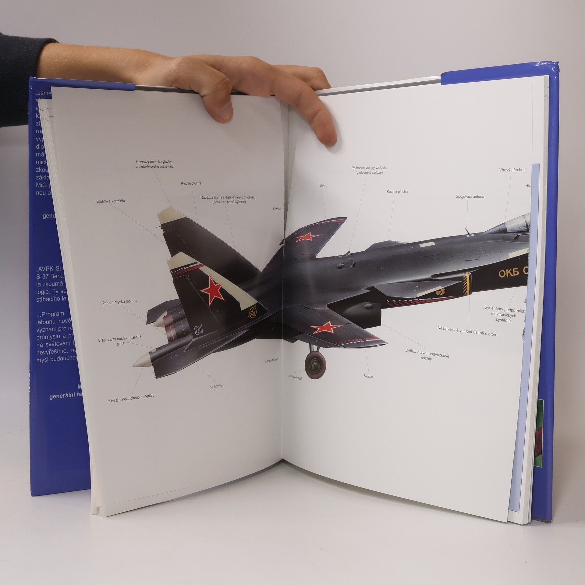Yefim Gordon Suchoj S-37 a Mikojan MFI